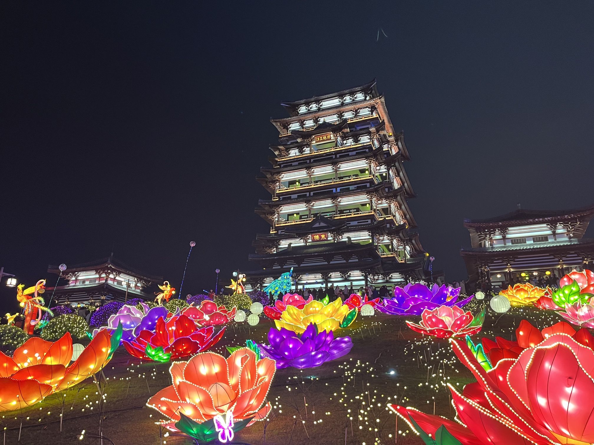 宜宾东楼旅行图片 1