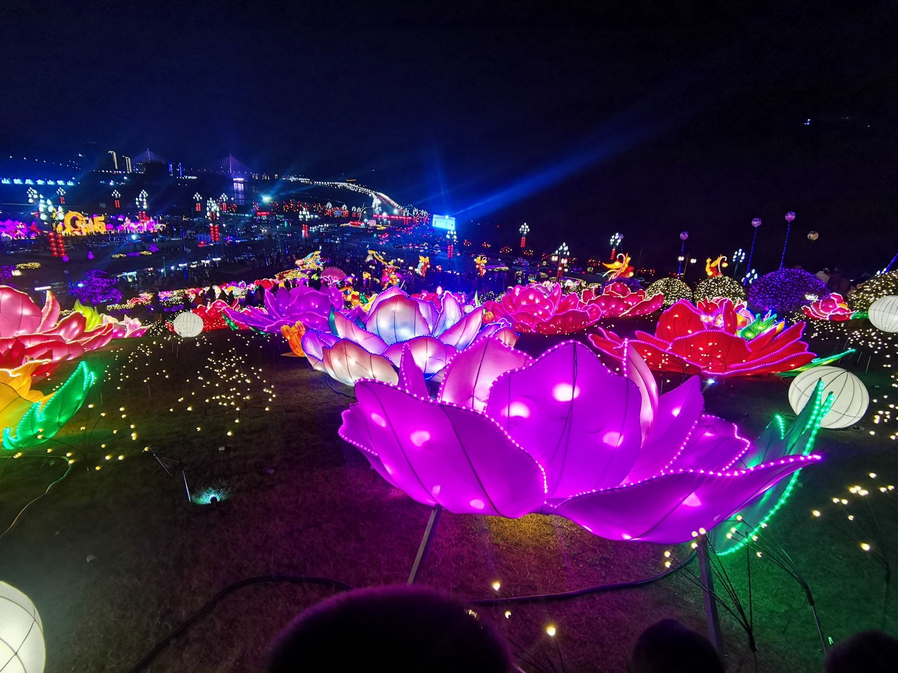 宜宾东楼旅行图片 3