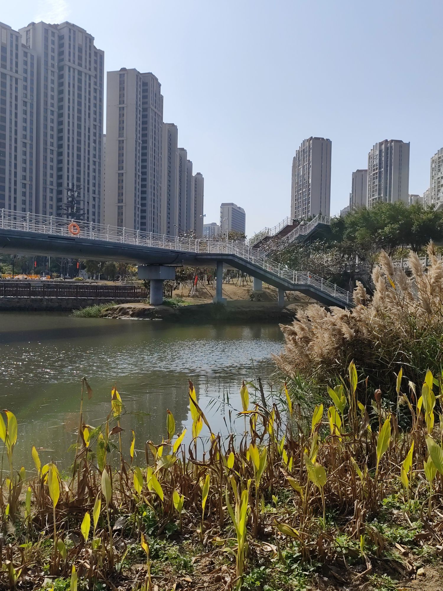 魁屿公园旅行图片 3