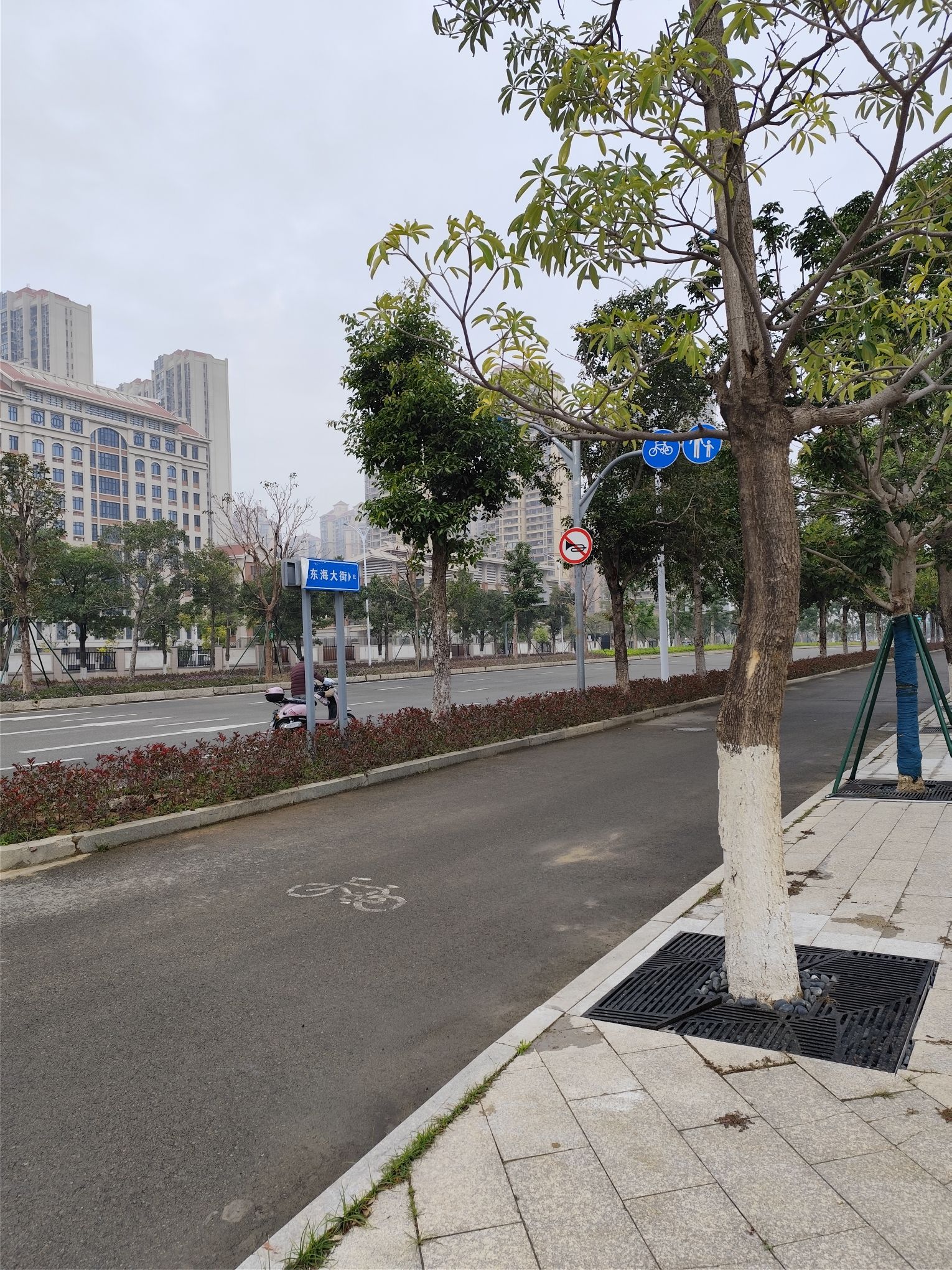 魁屿公园旅行图片 3
