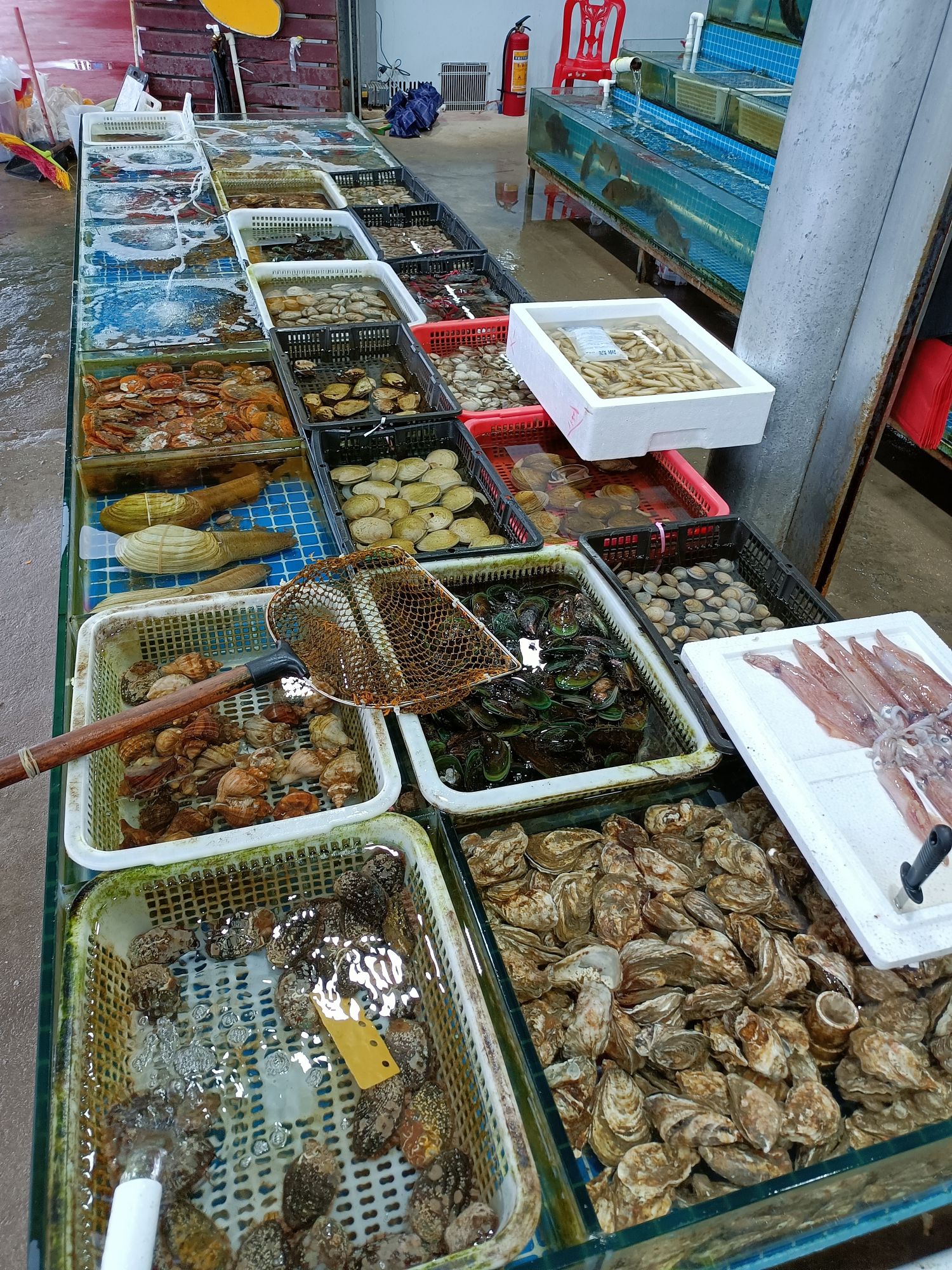 双月湾海鲜市场批发中心