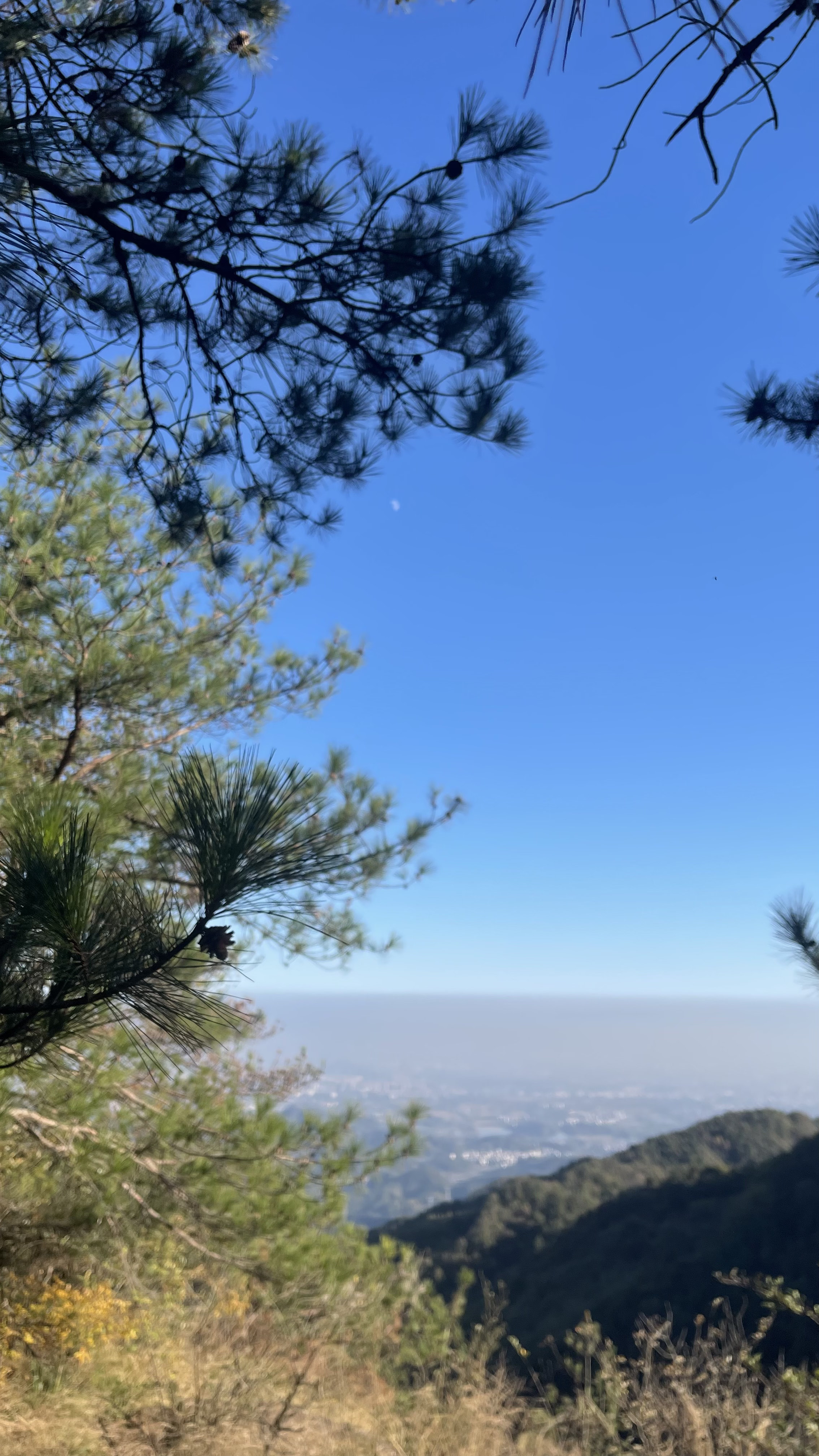 萧皇岩探险公园旅行图片 2