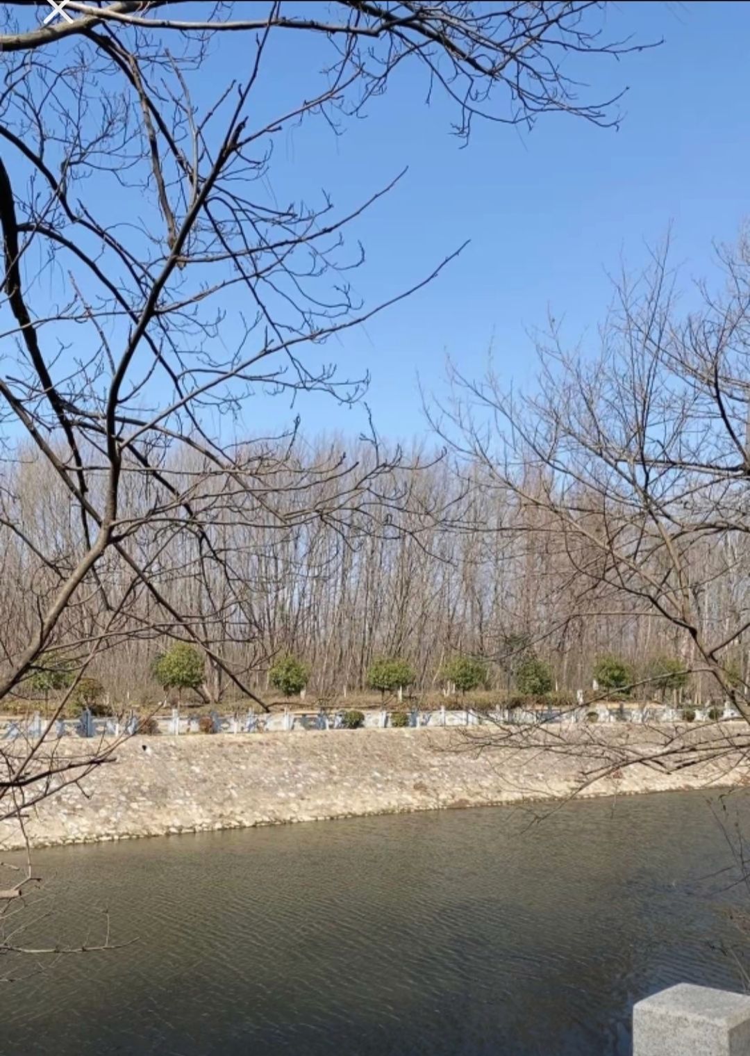 大明河公园旅行图片 3