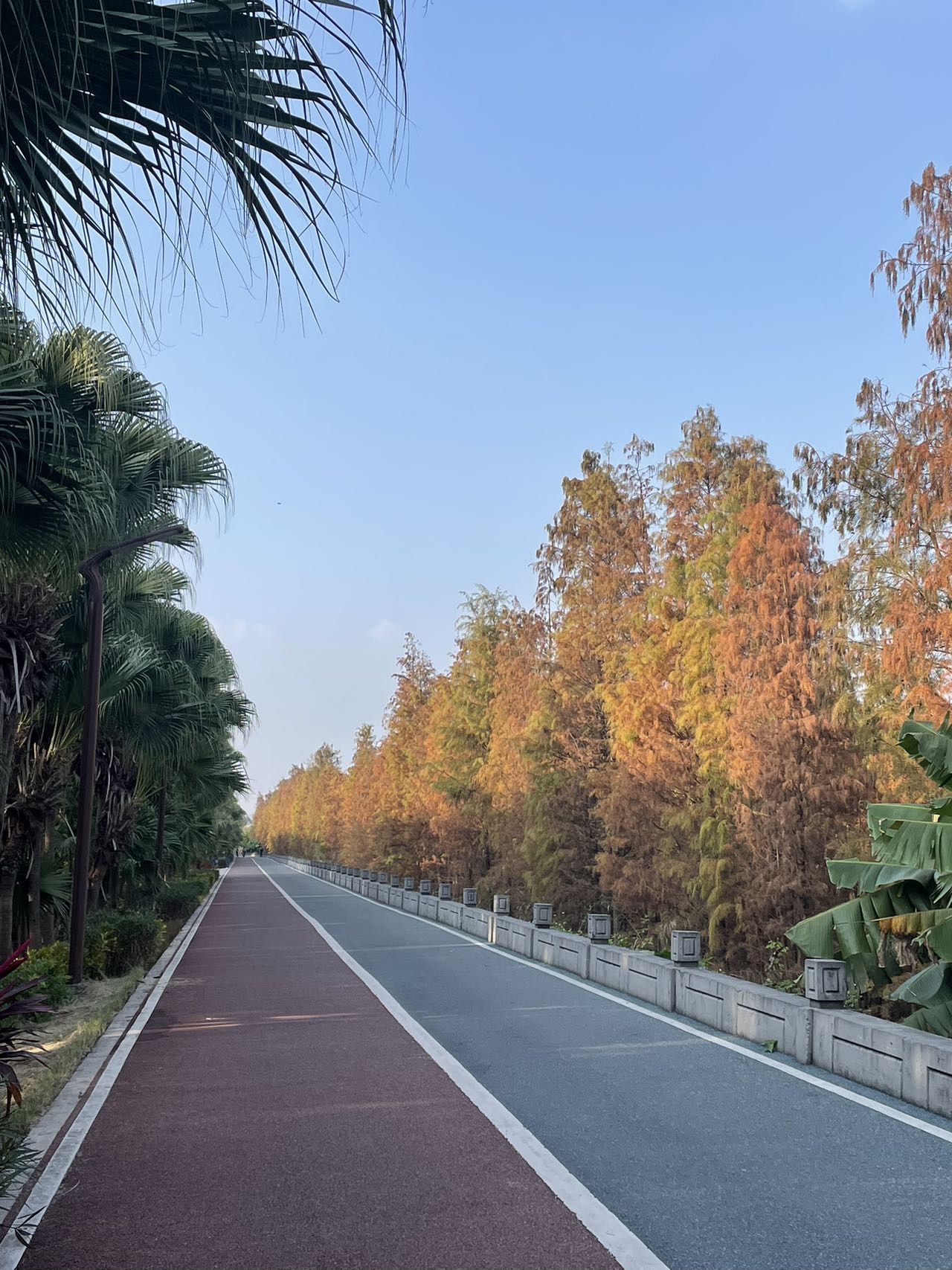 礼乐绿廊旅行图片 1