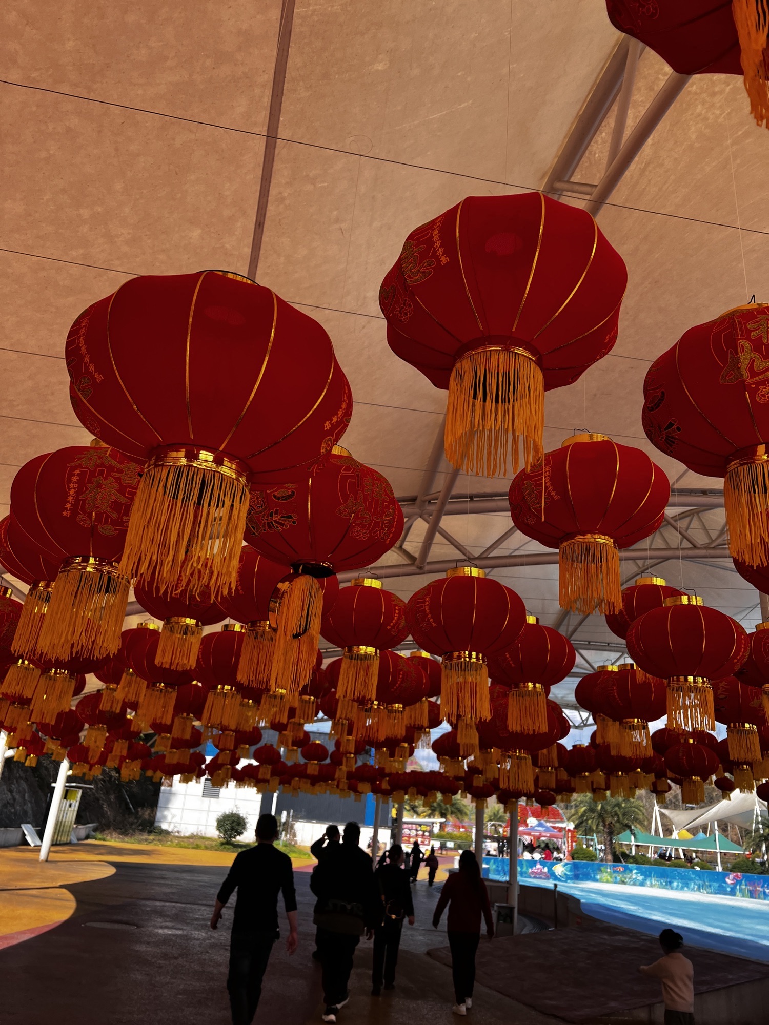 月兔梦乐园旅行图片 1