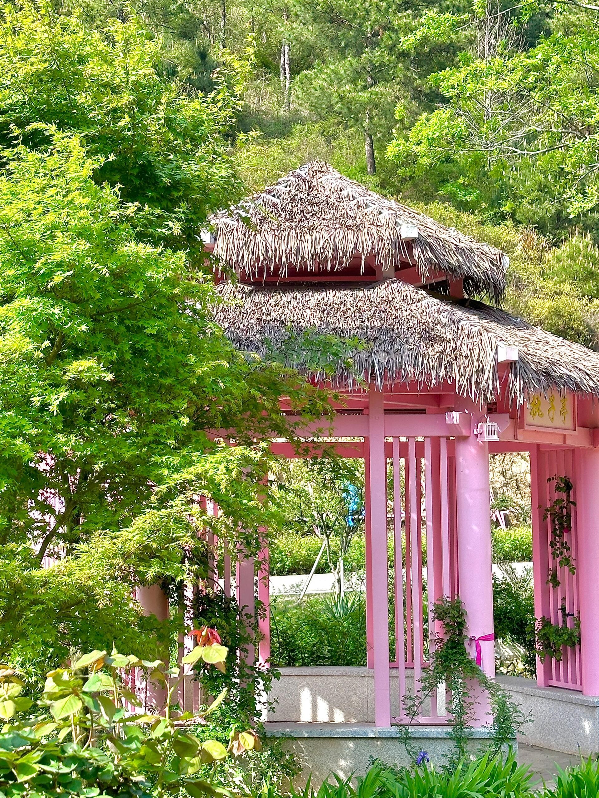 独秀山公园情人谷旅行图片 1