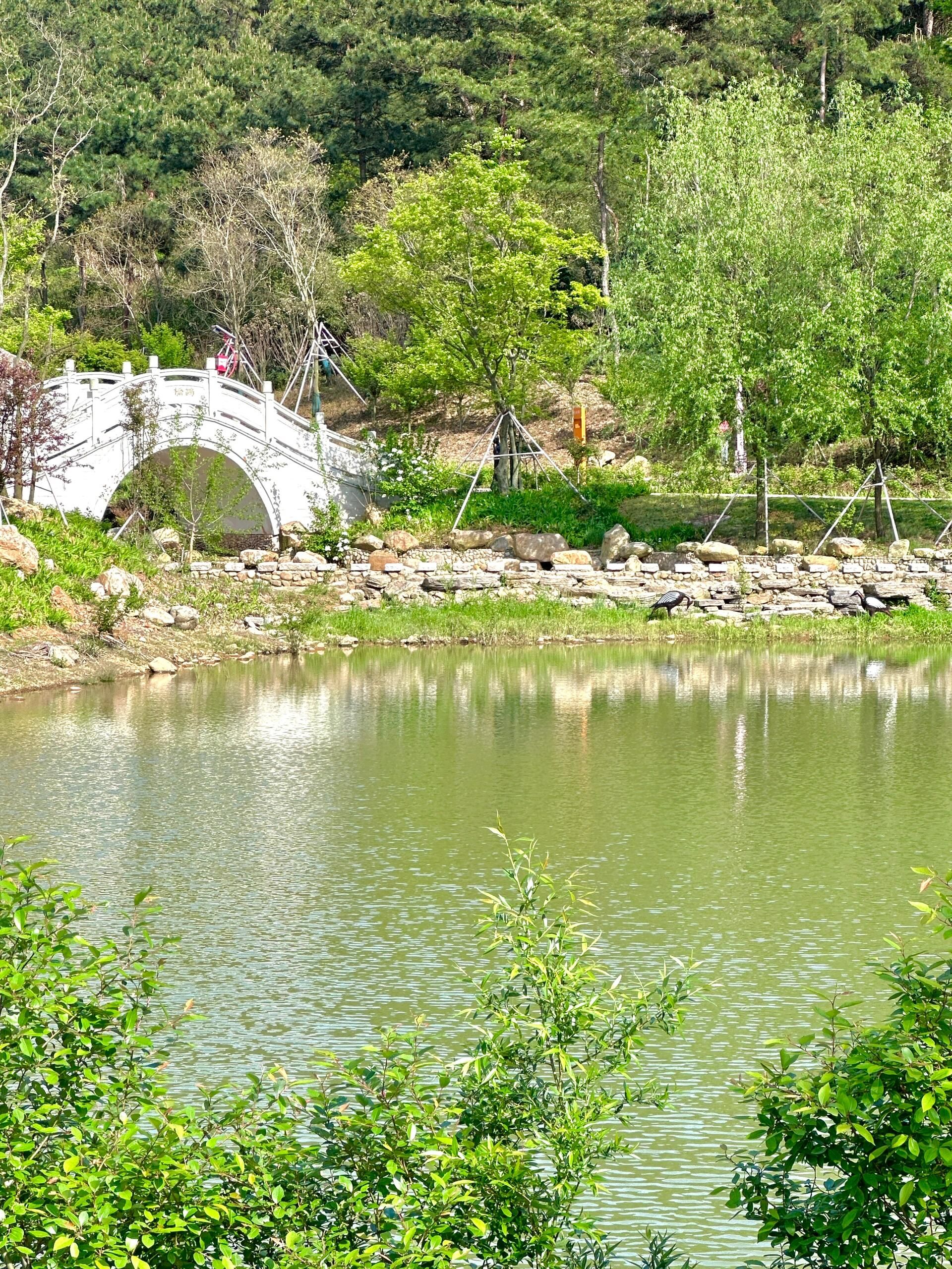 独秀山公园情人谷旅行图片 2