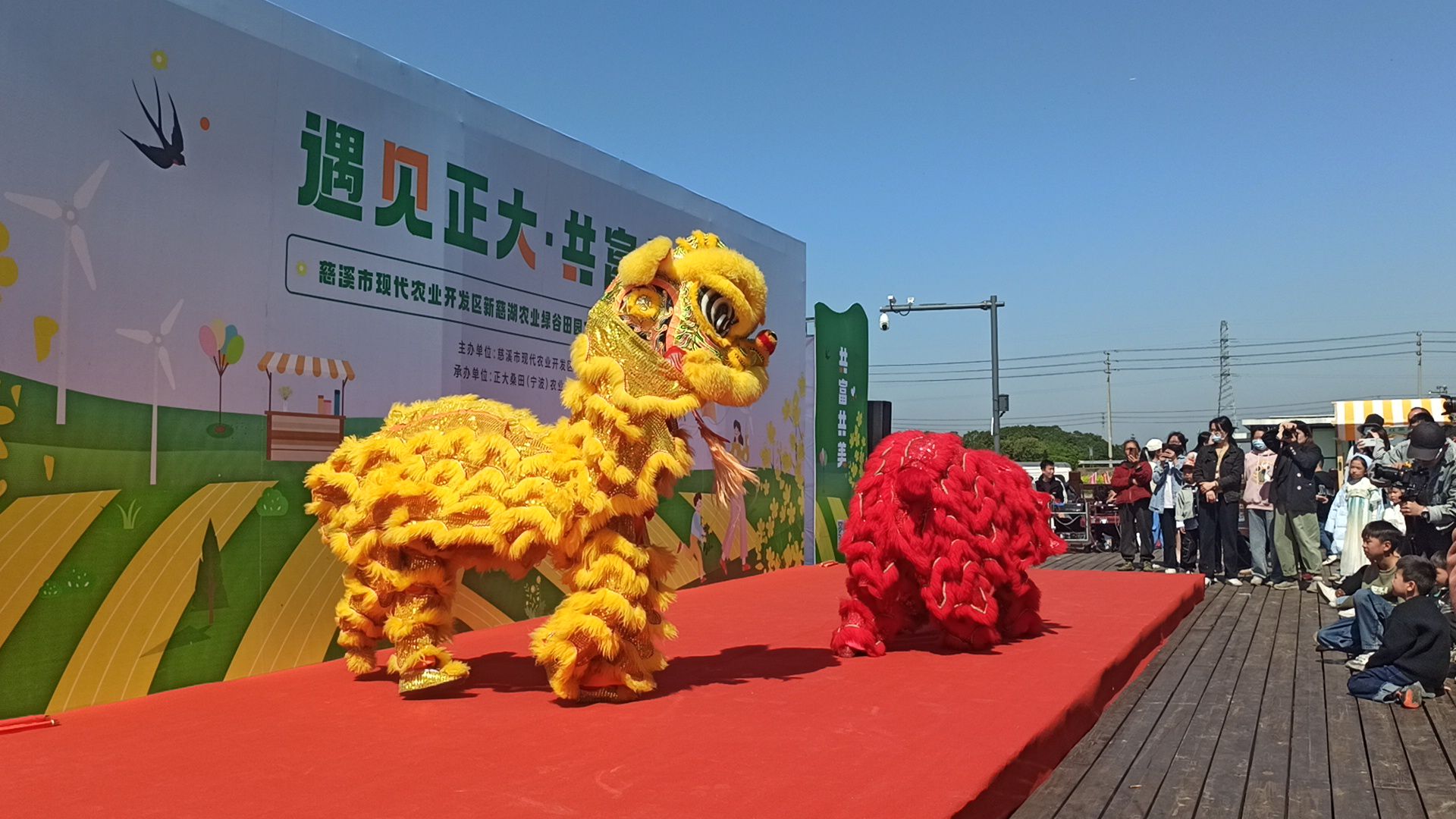 正大油菜花海旅行图片 2