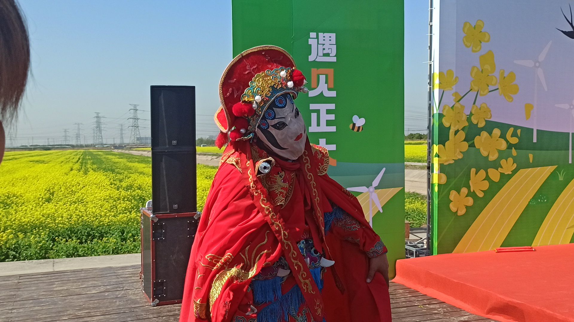 正大油菜花海旅行图片 1