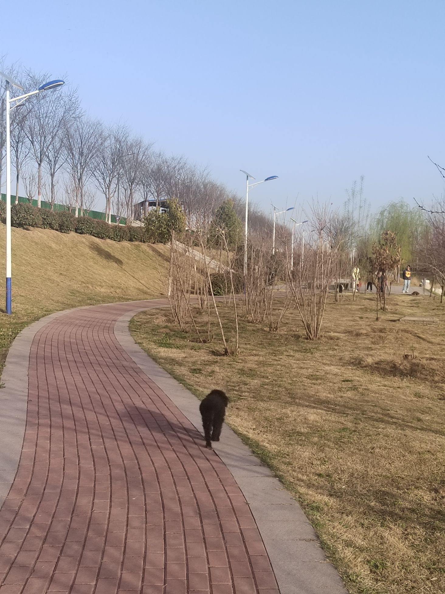 叶县大灰河滨河生态公园(建设中)旅行图片 3