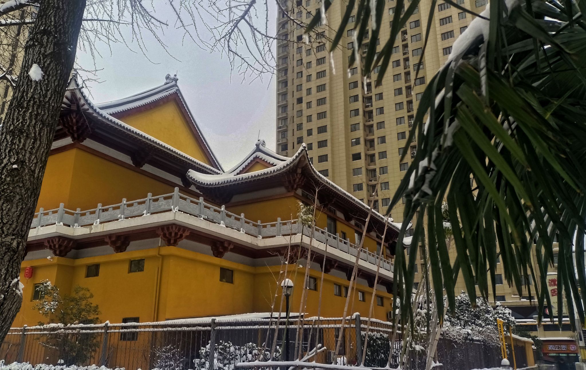 五河遗址公园旅行图片 3