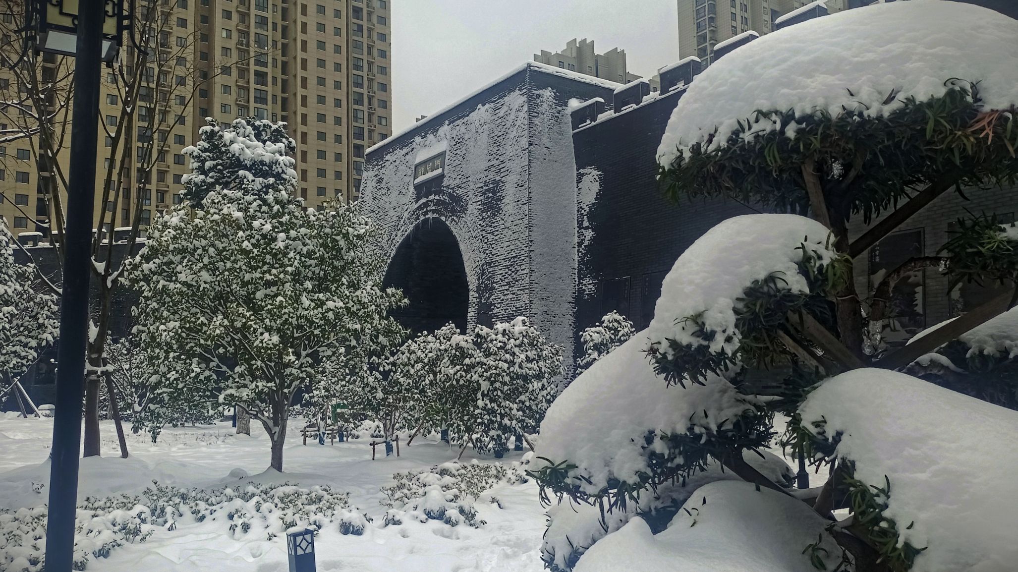 五河遗址公园旅行图片 1