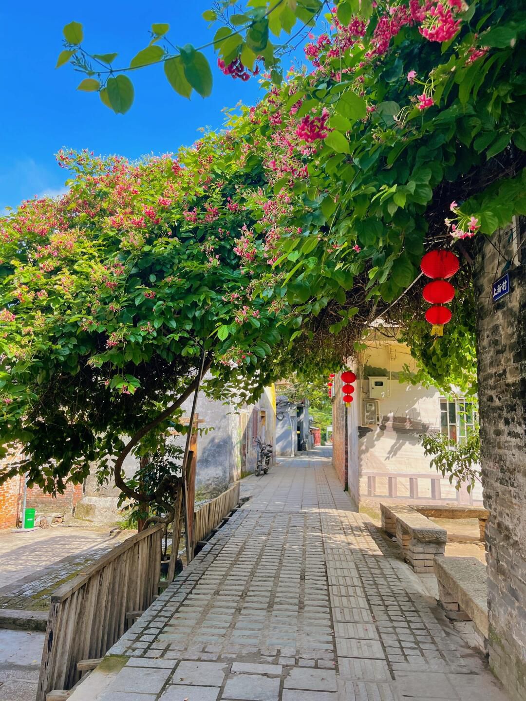 石板沙疍家风情岛旅行图片 3