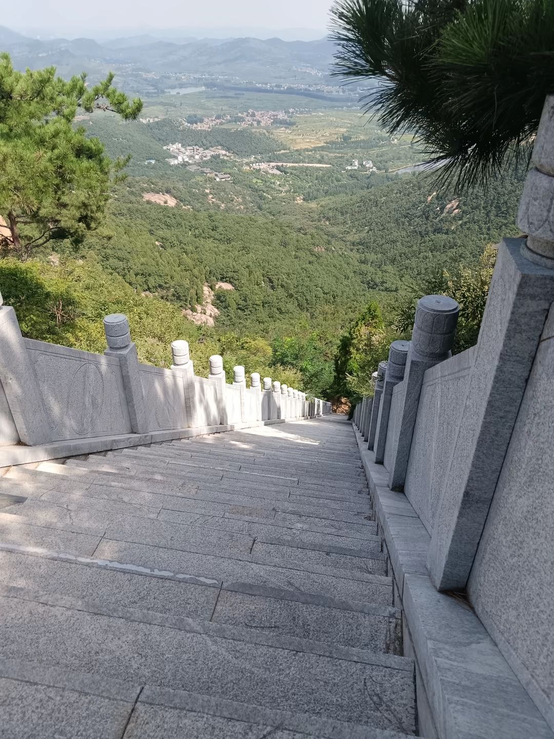 新泰新甫山莲花园旅行图片 2