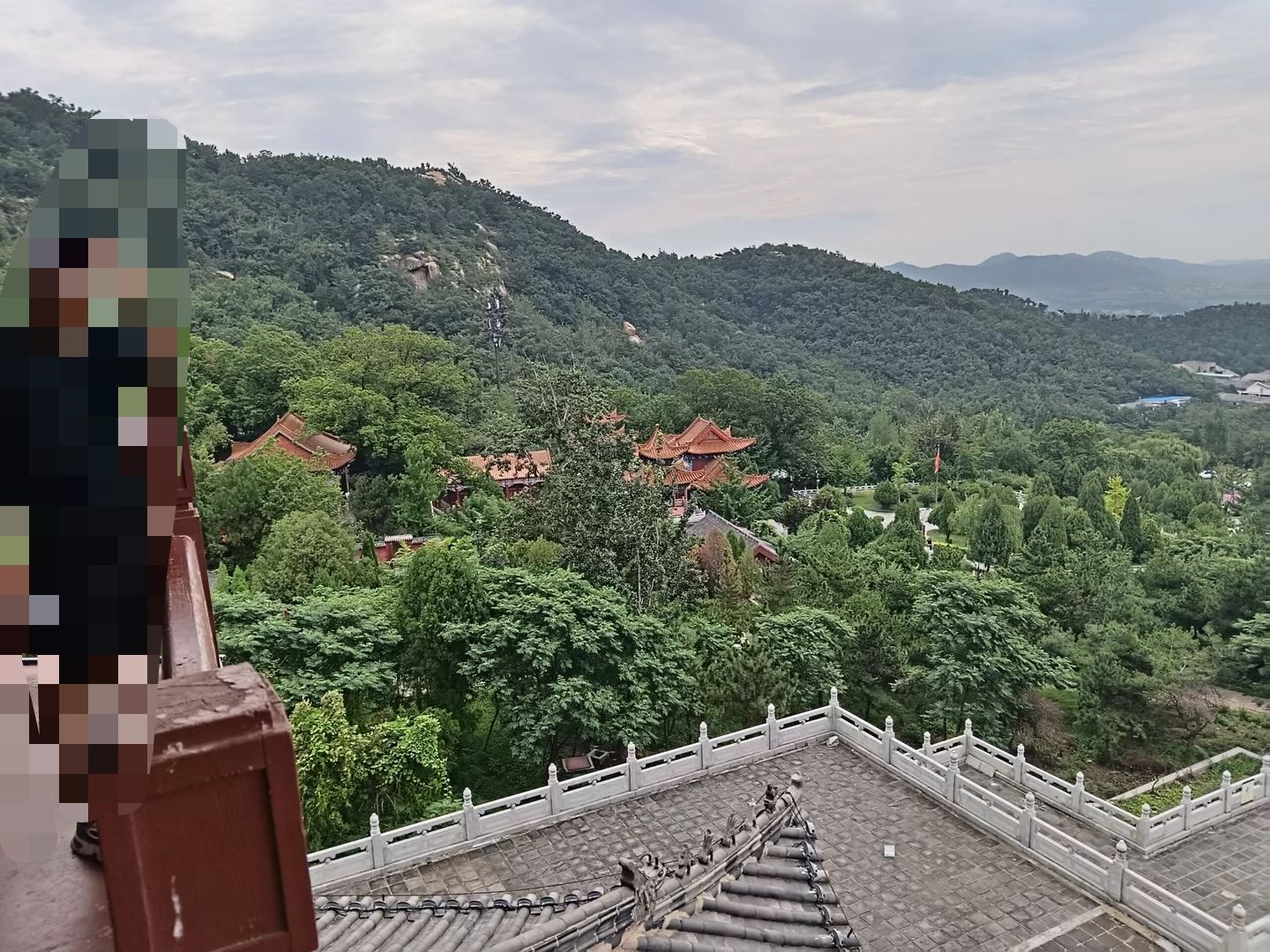 新泰新甫山莲花园旅行图片 1