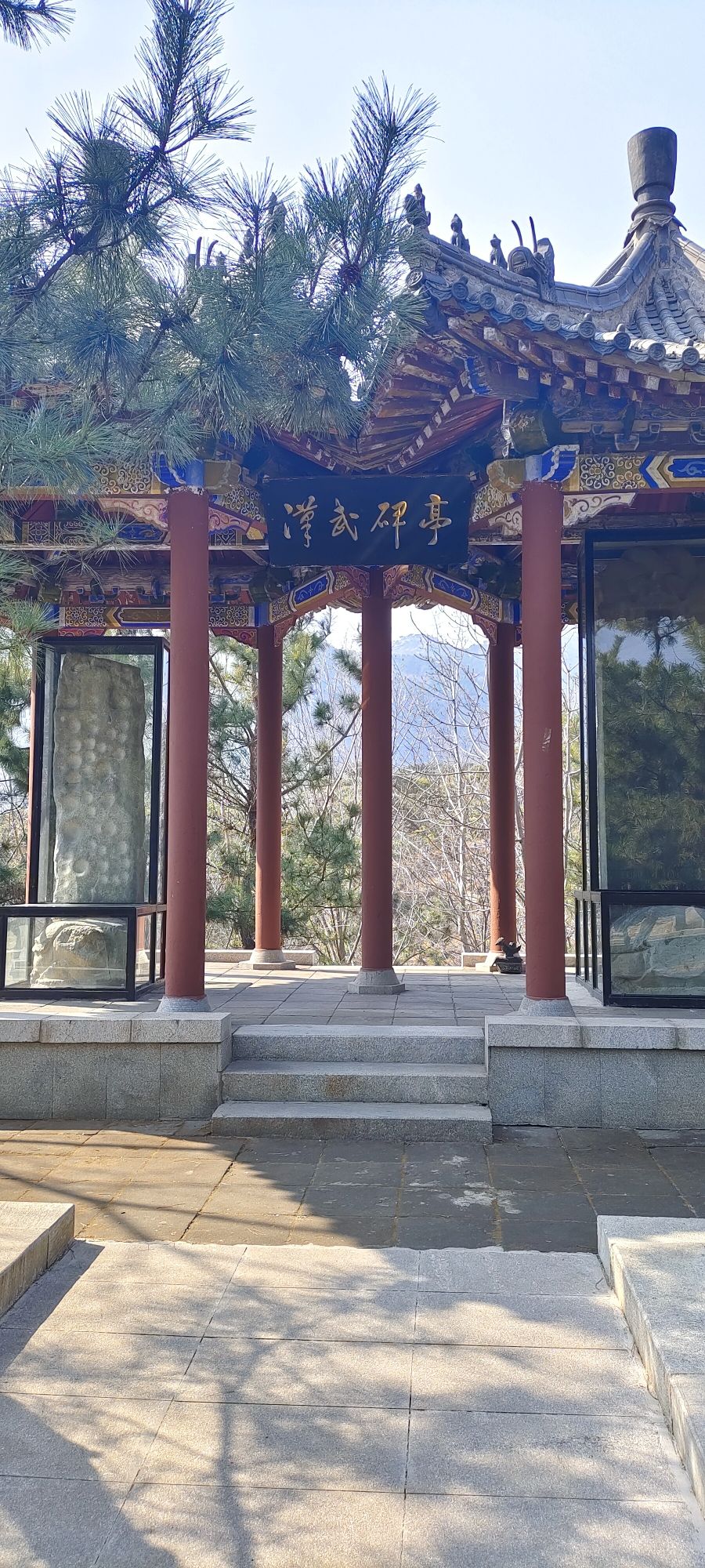 新泰新甫山莲花园旅行图片 2