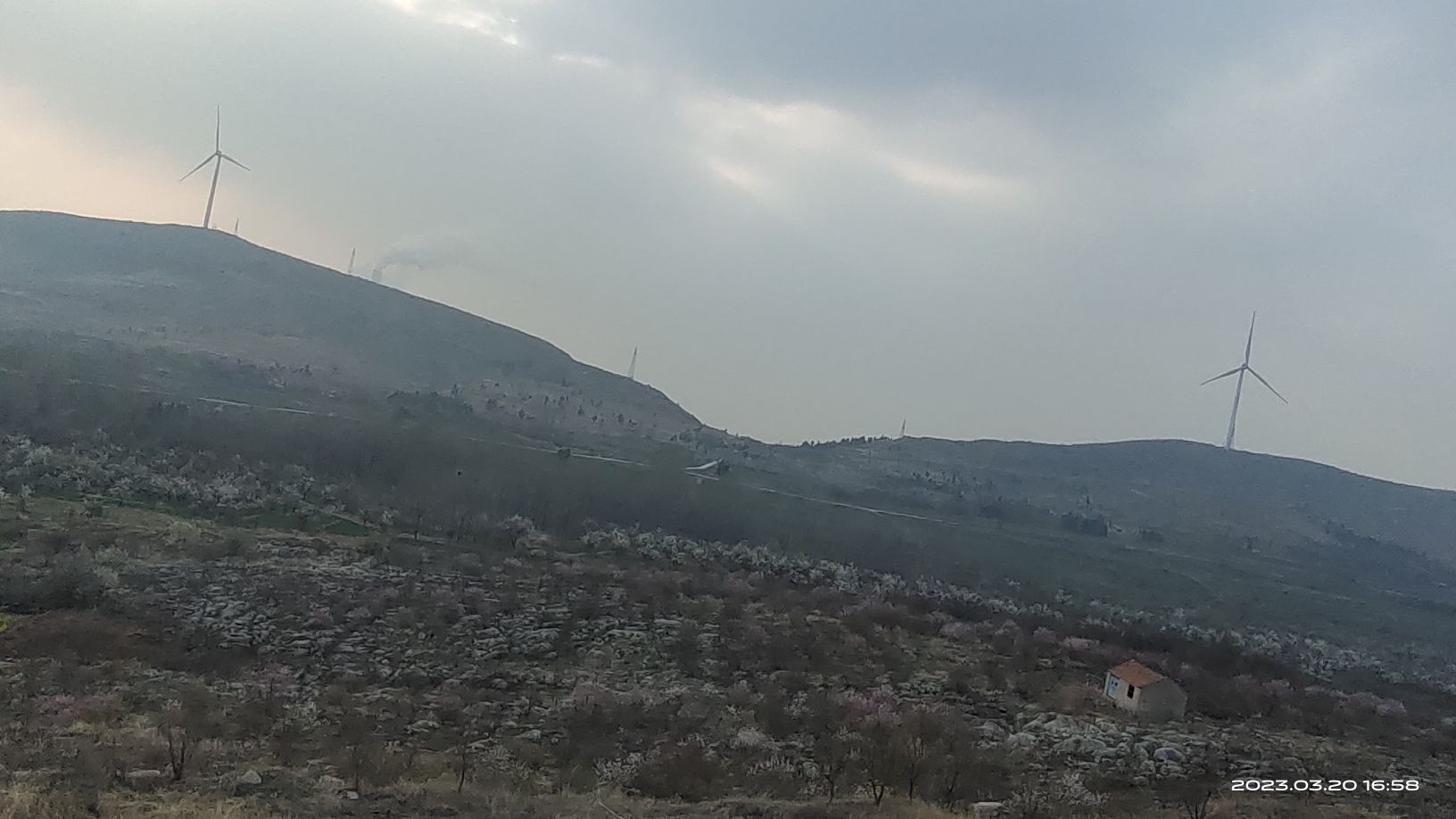 桃花谷旅行图片 1