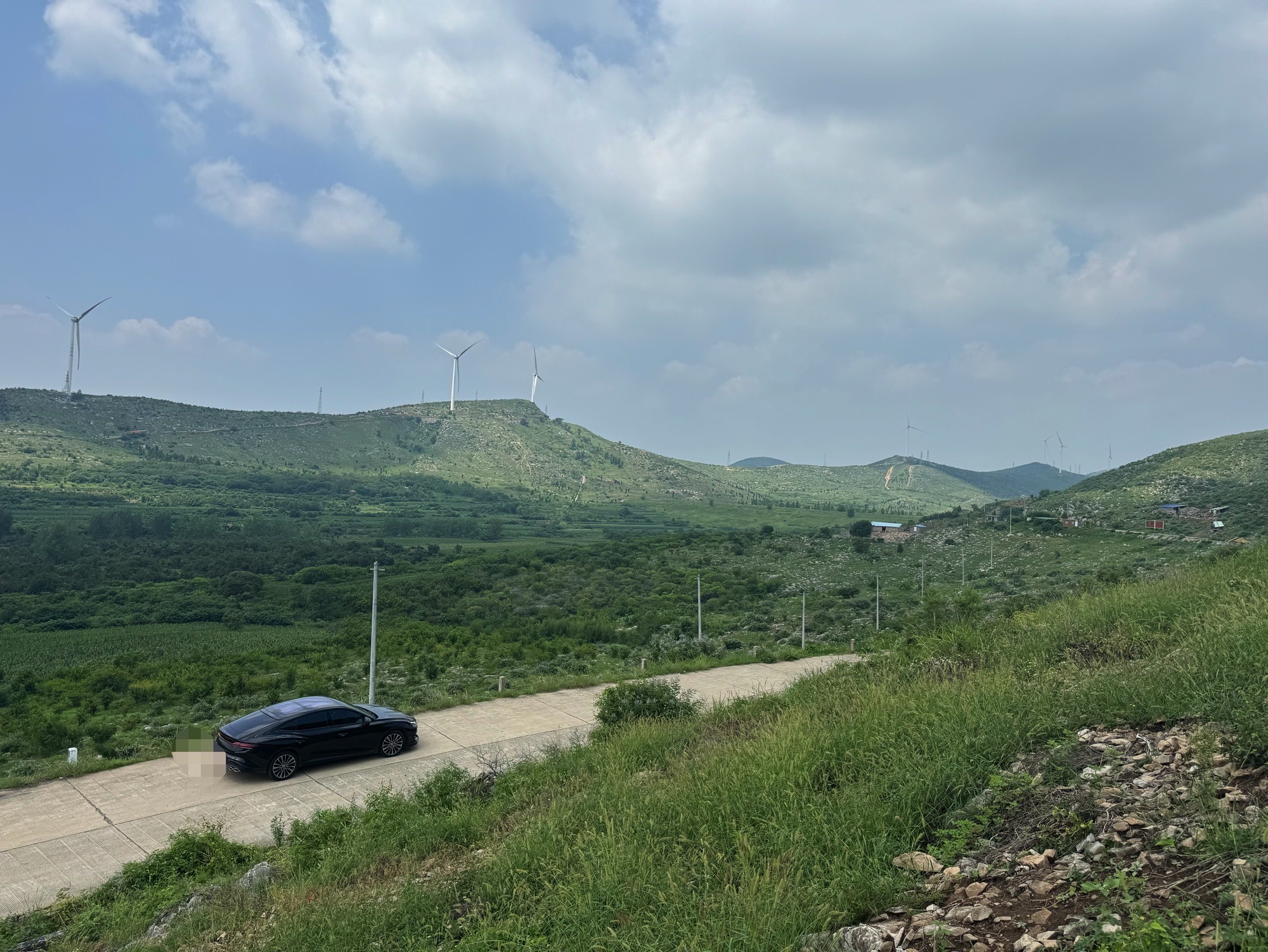 桃花谷旅行图片 3