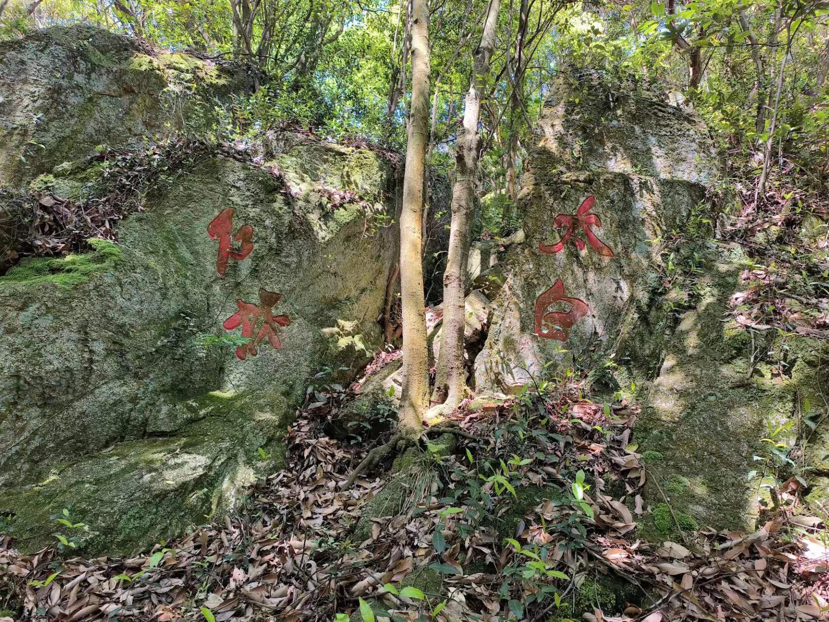 宁波龙角山旅游景区旅行图片 1