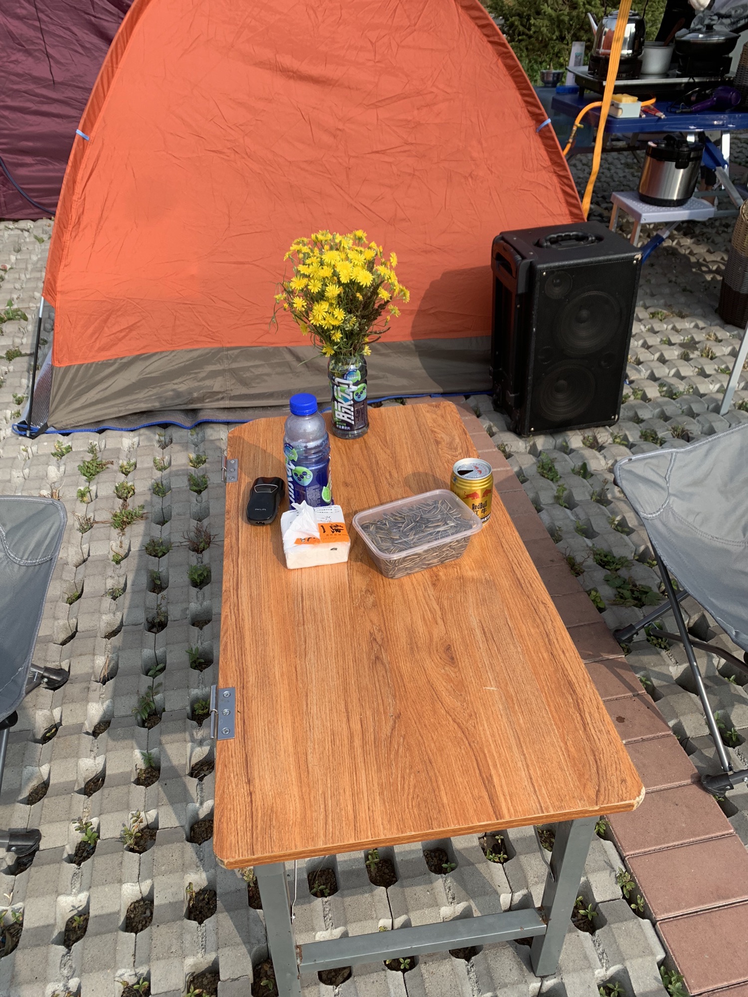 友好河湿地公园旅行图片 1