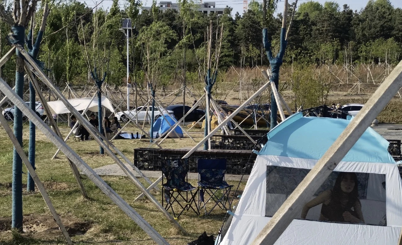 友好河湿地公园旅行图片 3