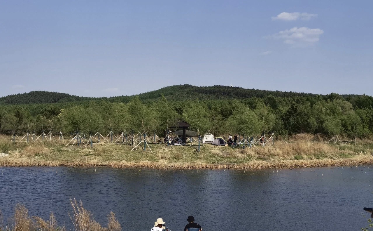 友好河湿地公园旅行图片 2