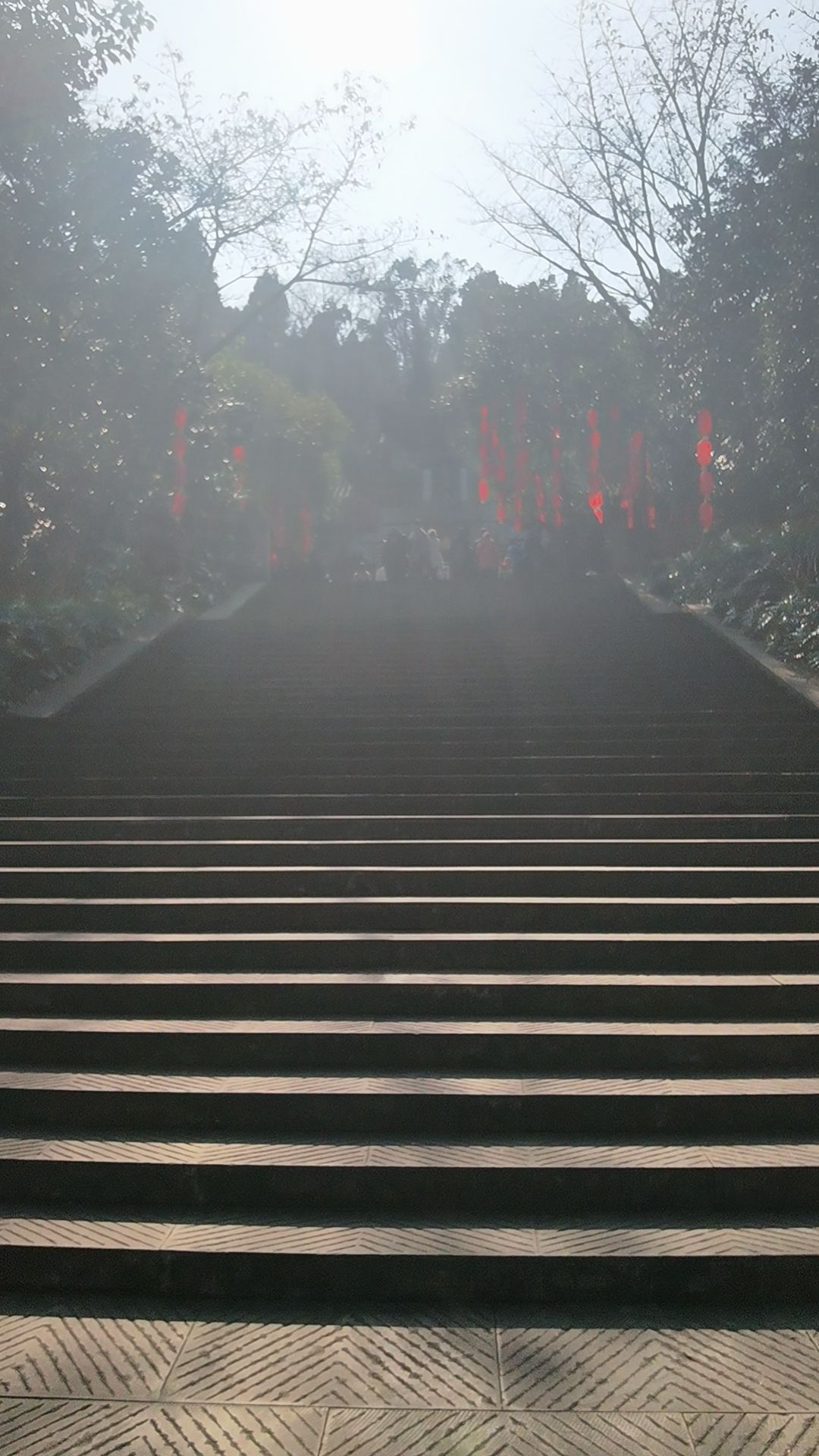 多宝塔旅行图片 1