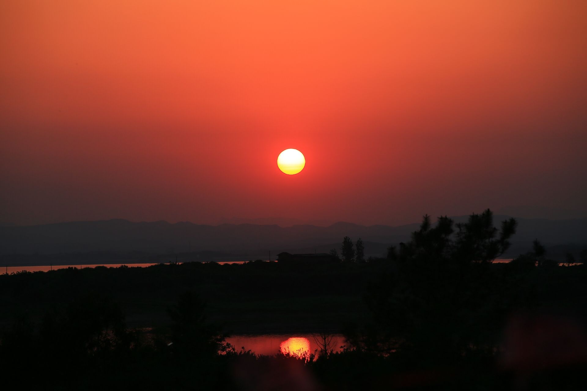 漳河樱花岛