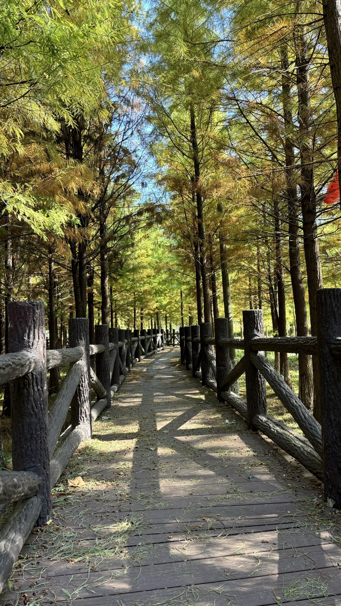 坝桥村法治文化主题公园旅行图片 3