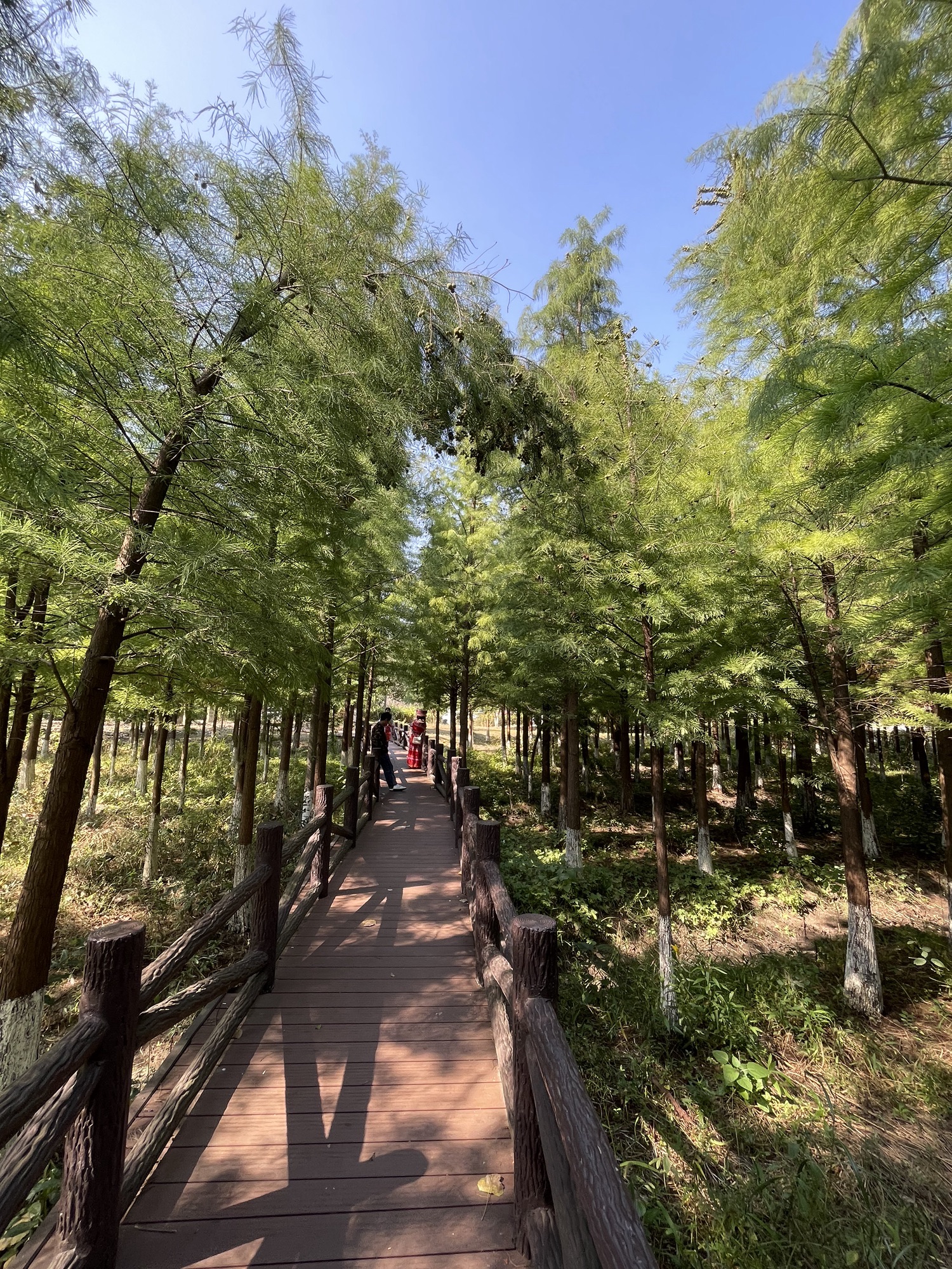 坝桥村法治文化主题公园旅行图片 2