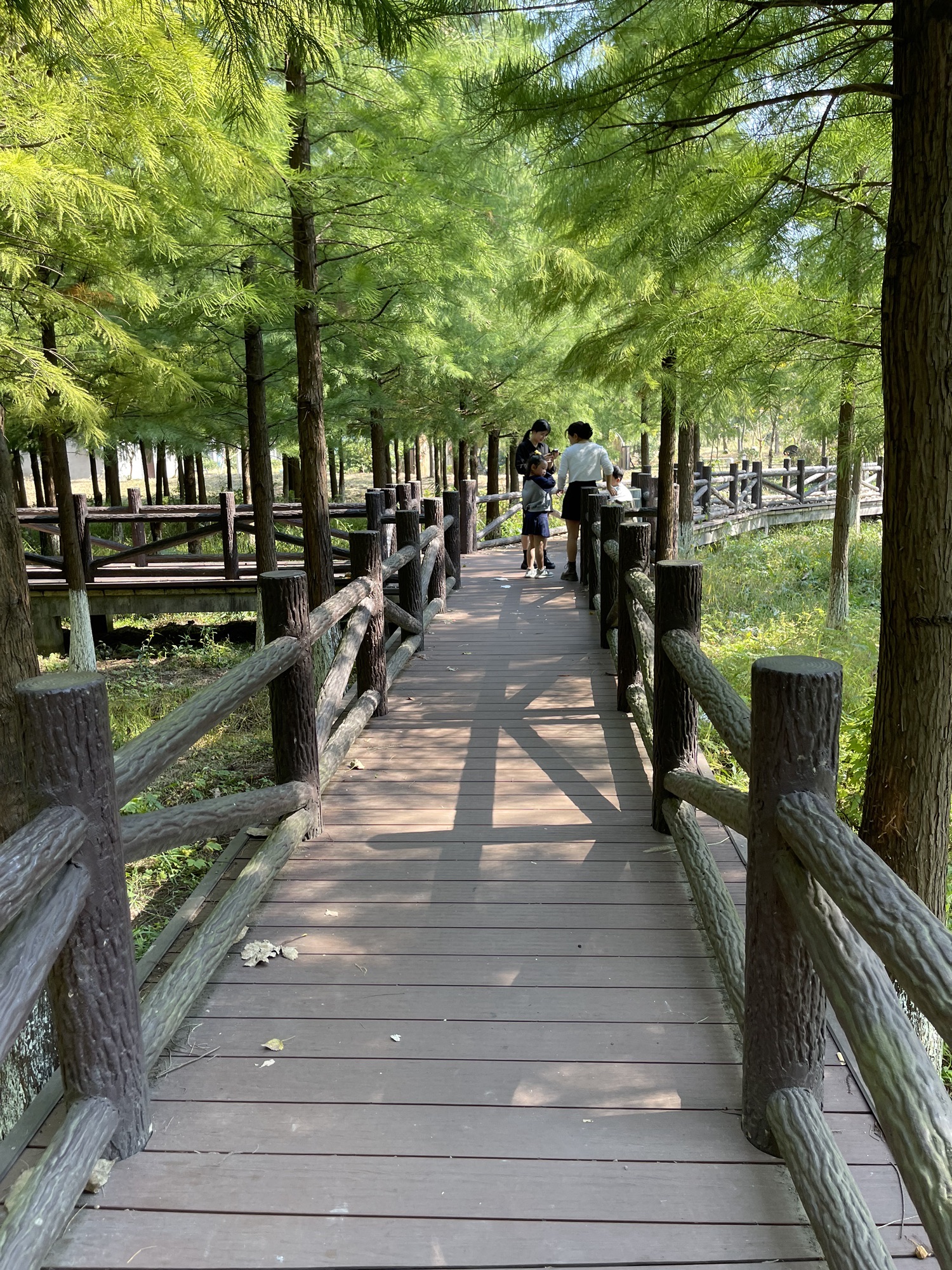 坝桥村法治文化主题公园旅行图片 1