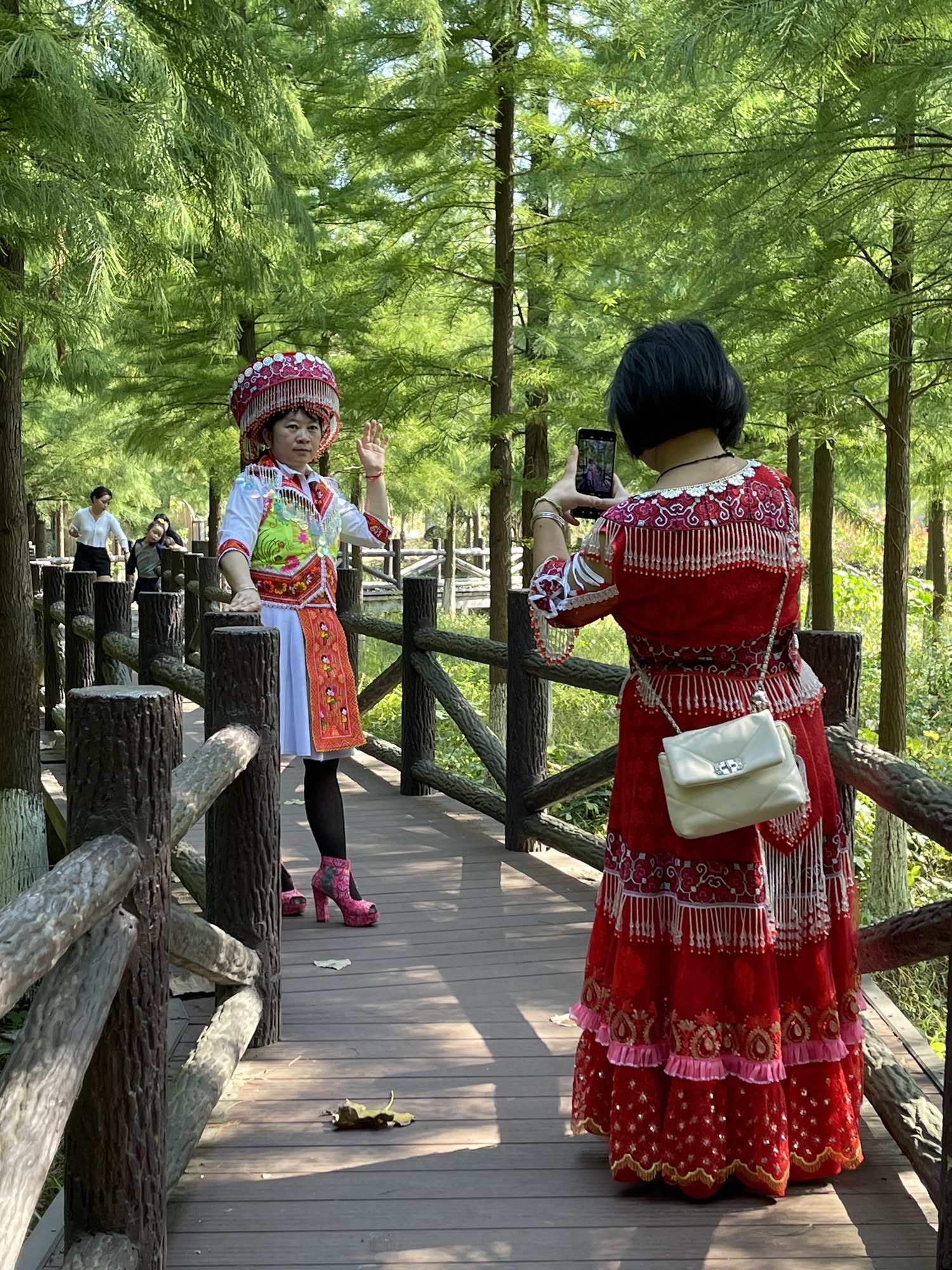 坝桥村法治文化主题公园旅行图片 3