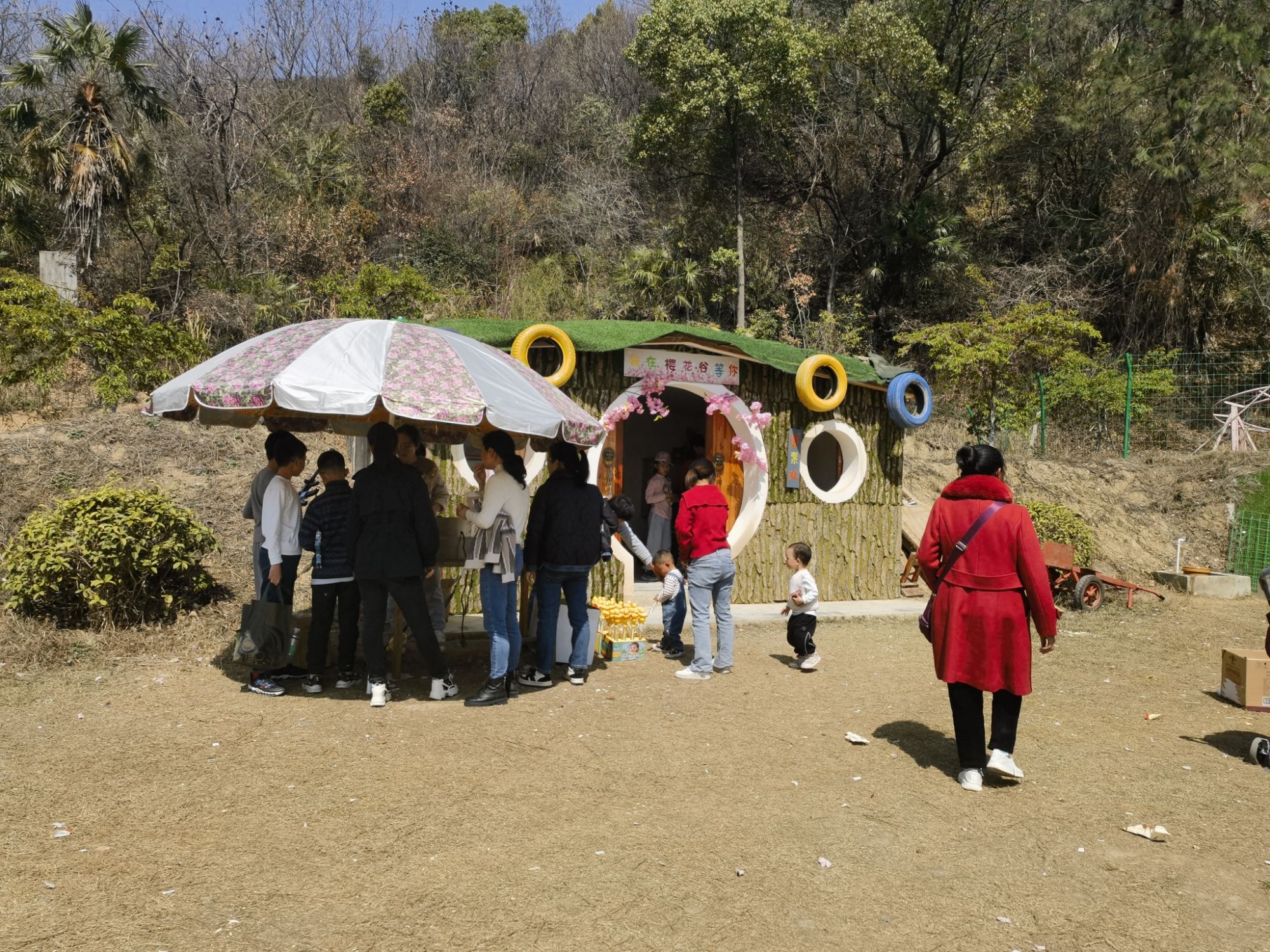 太浮山樱花谷旅行图片 2