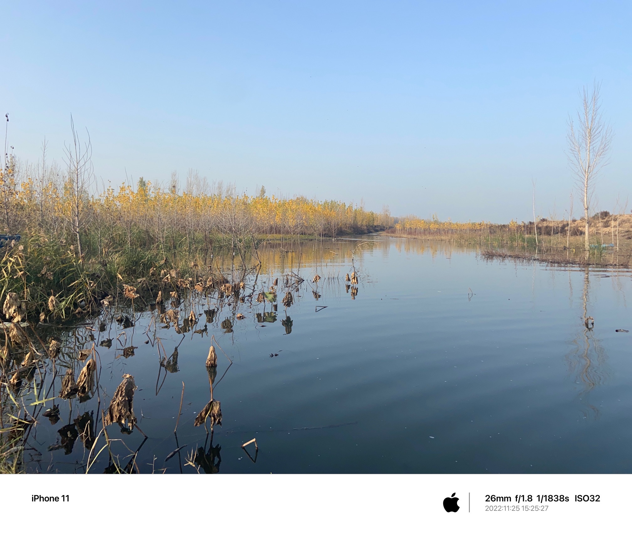 辉县市共海省级湿地公园旅行图片 1