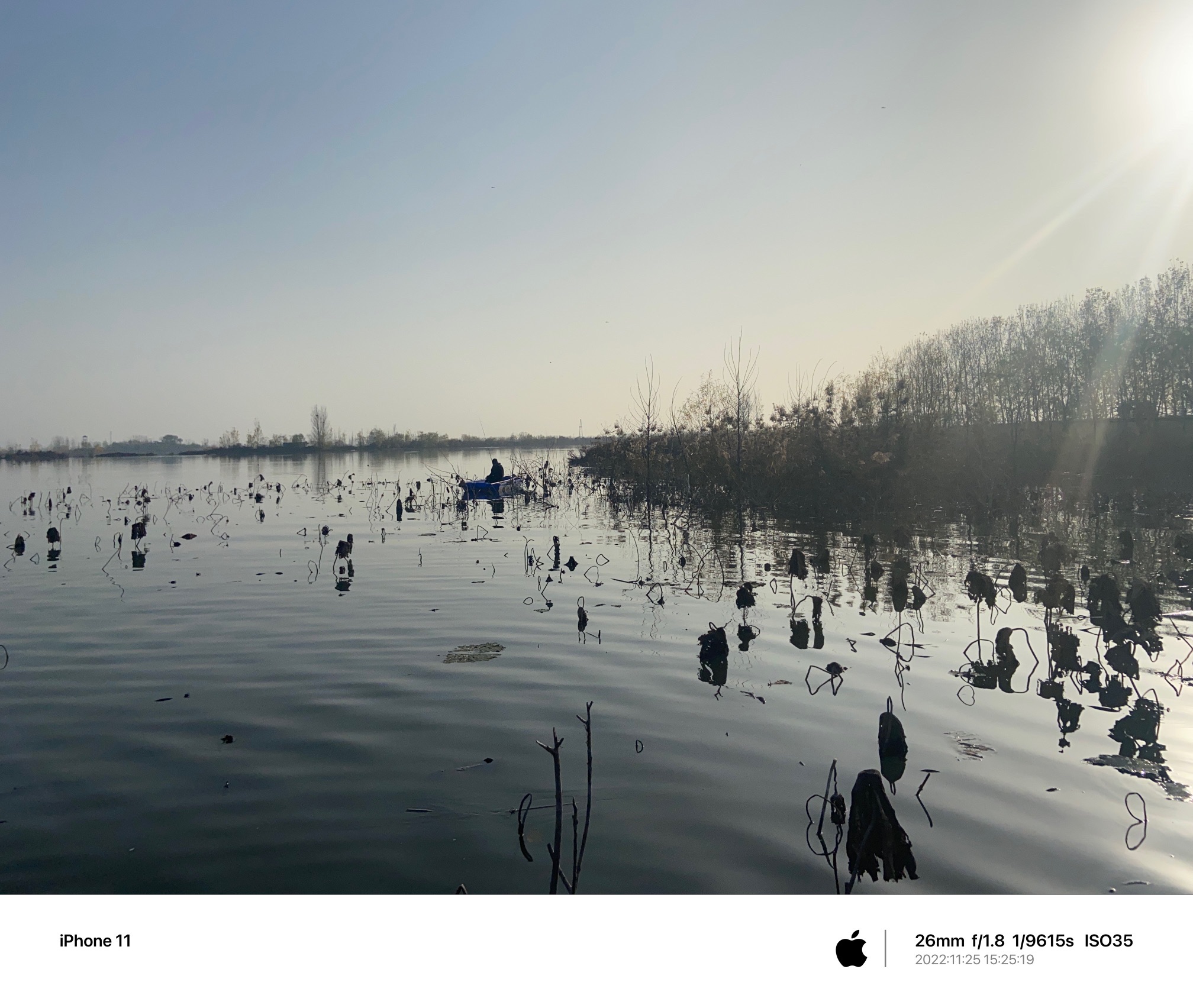 辉县市共海省级湿地公园旅行图片 2