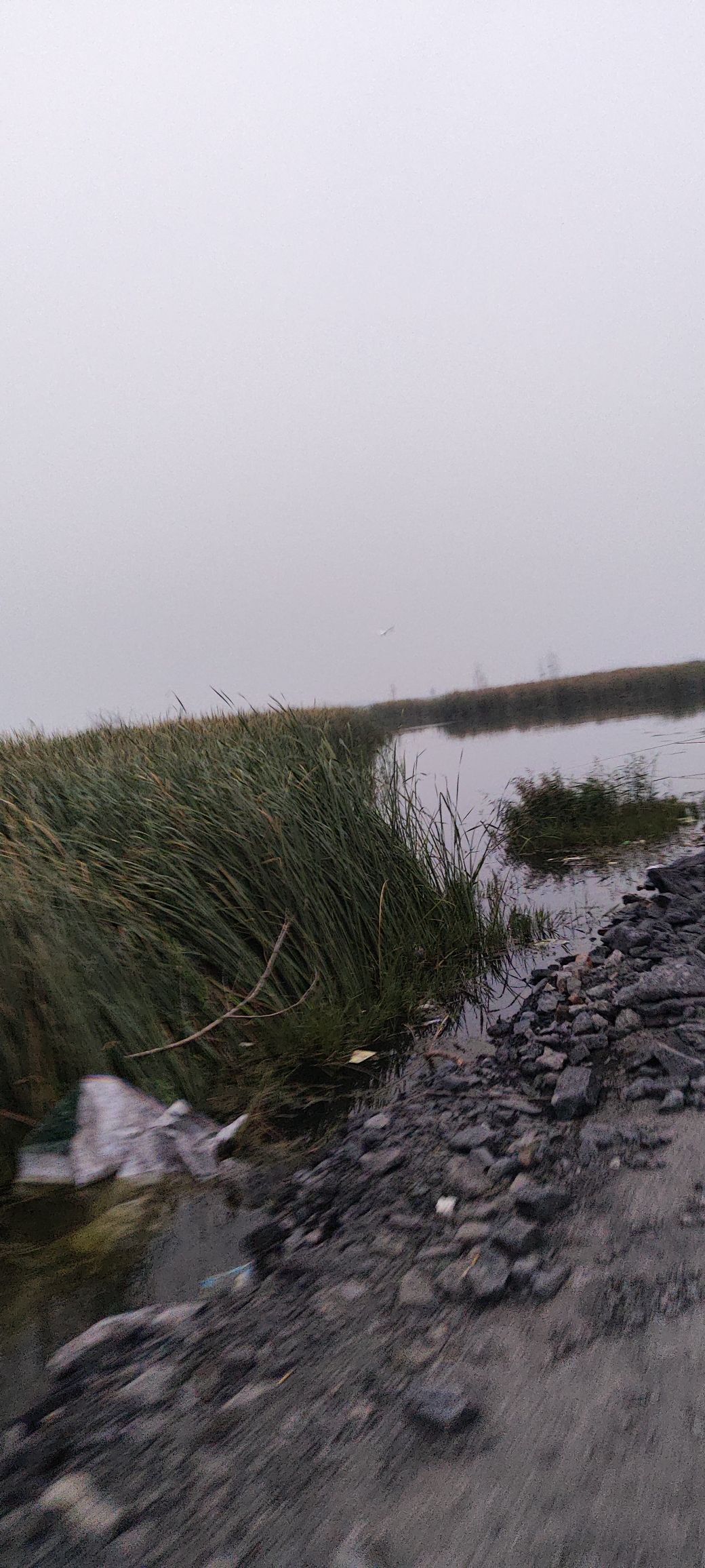 辉县市共海省级湿地公园旅行图片 1