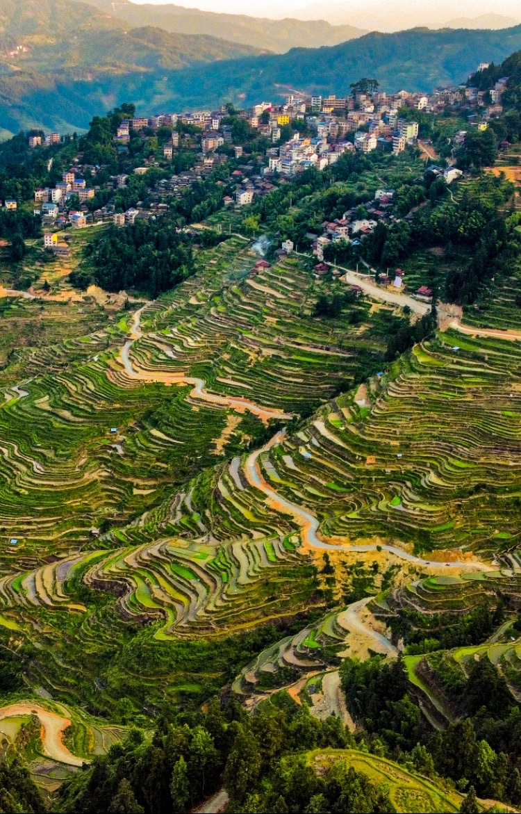 千亩梯田旅行图片 1