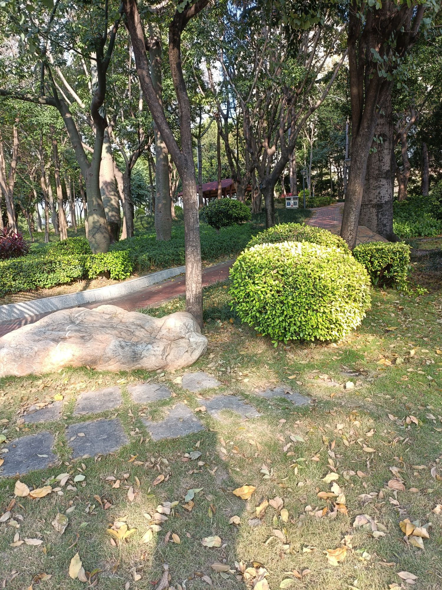 直涌尾公园旅行图片 1