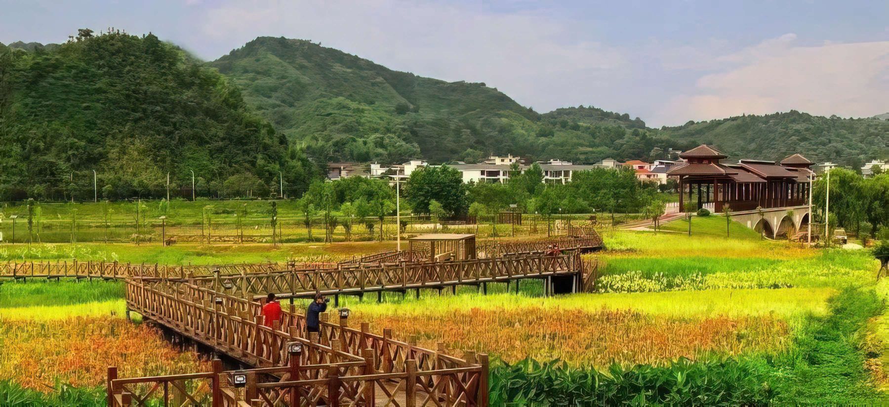 江口乡村森林公园旅行图片 3