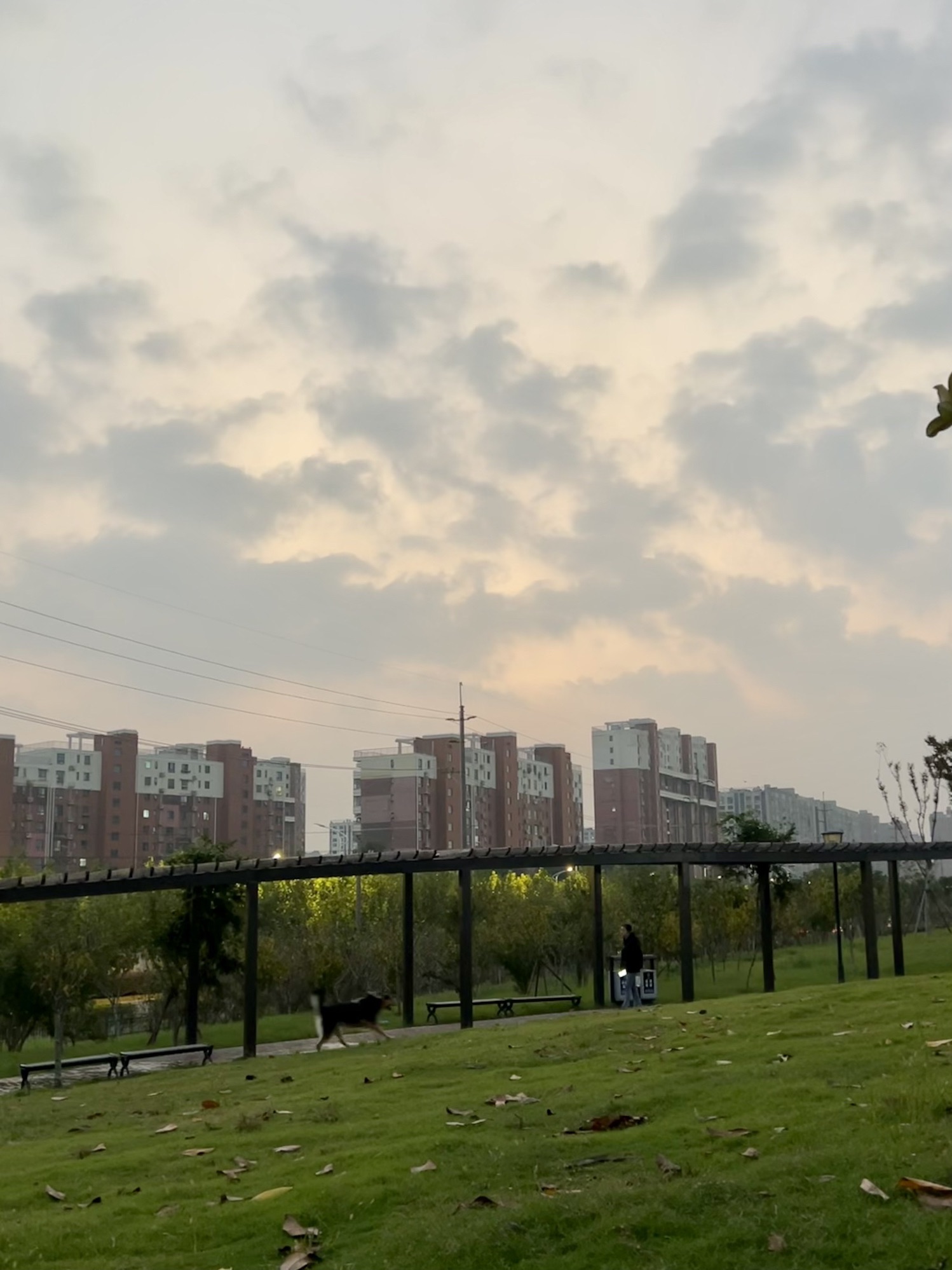 嘉洲公园旅行图片 2