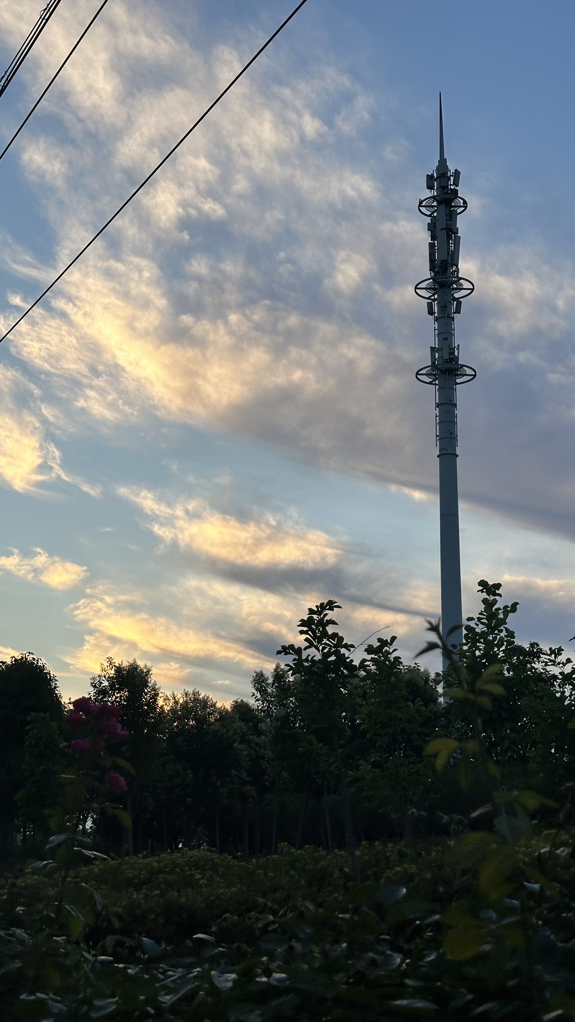 嘉洲公园旅行图片 3