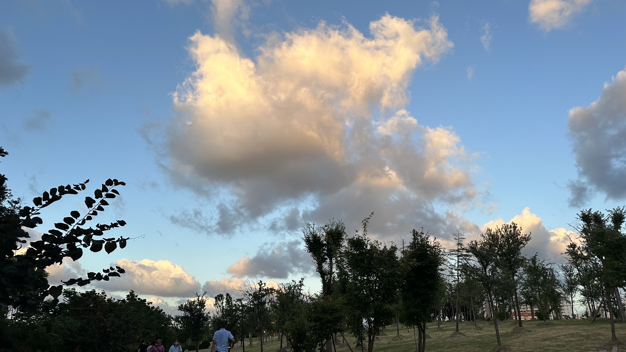 嘉洲公园旅行图片 2