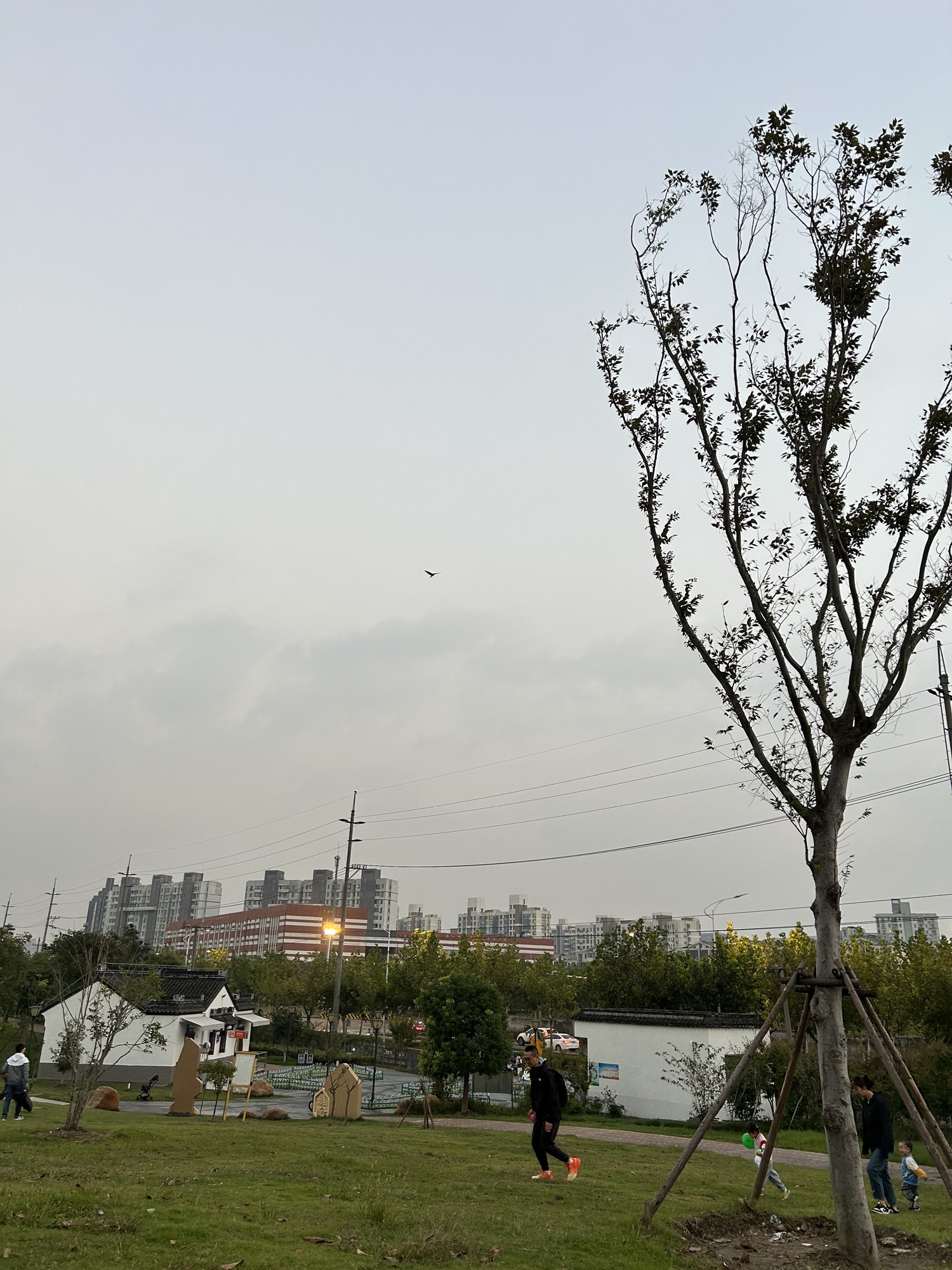 嘉洲公园旅行图片 3