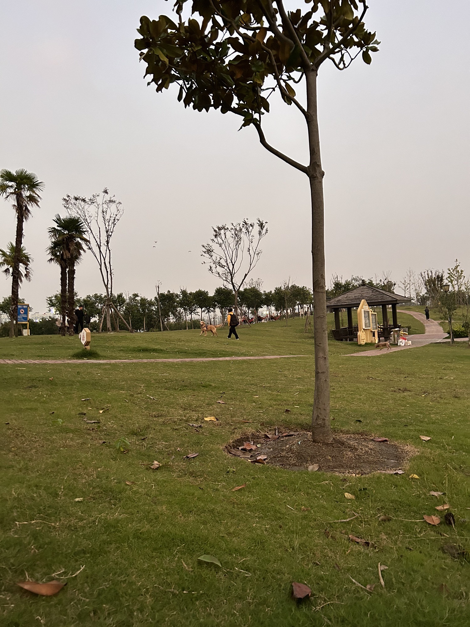 嘉洲公园旅行图片 1