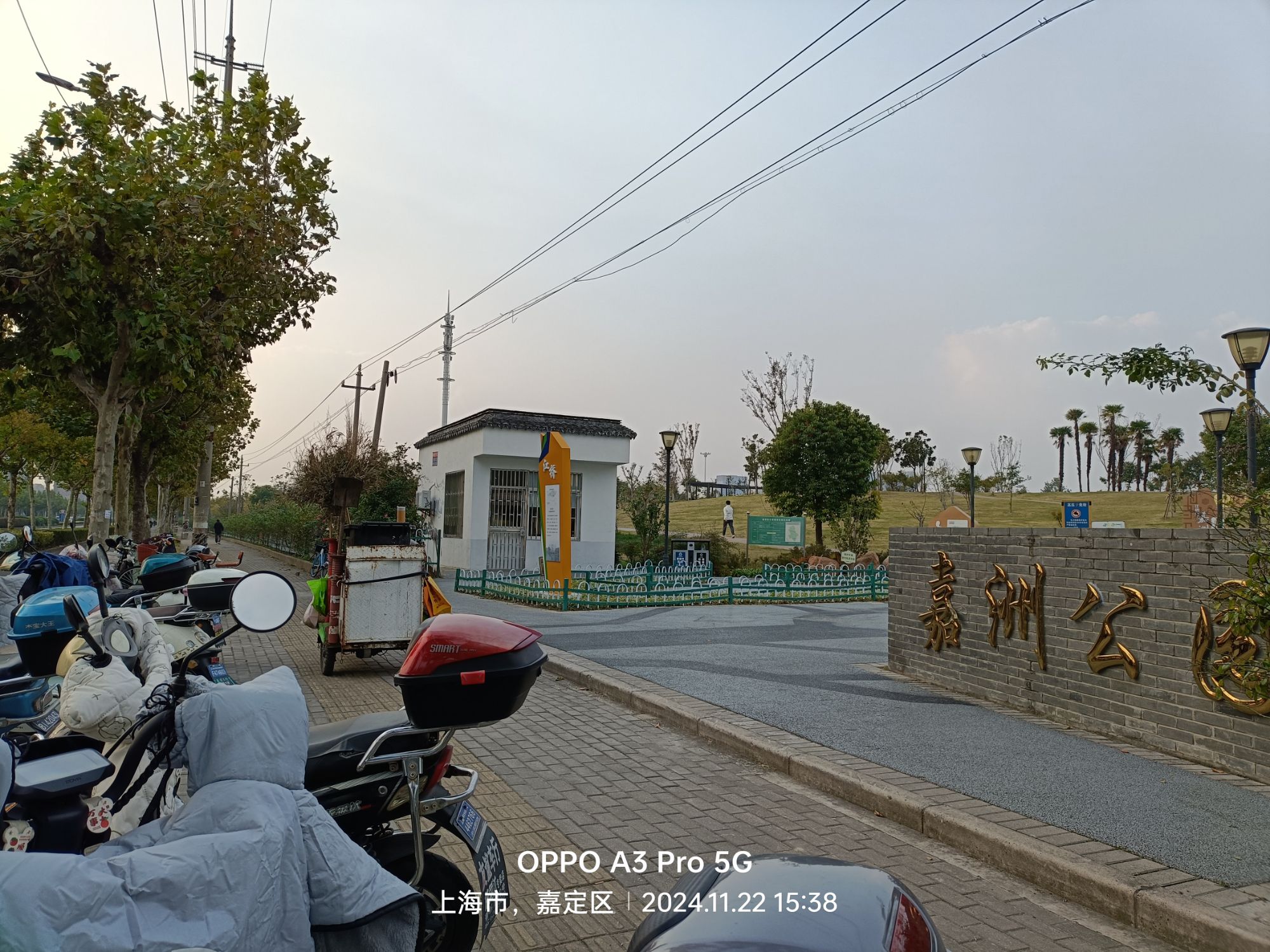 嘉洲公园旅行图片 2