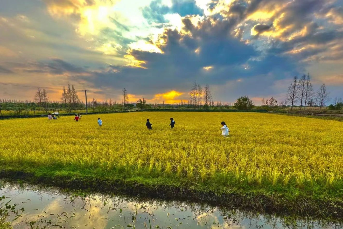 推荐场地-漫屋·弟弟兜兜的农场