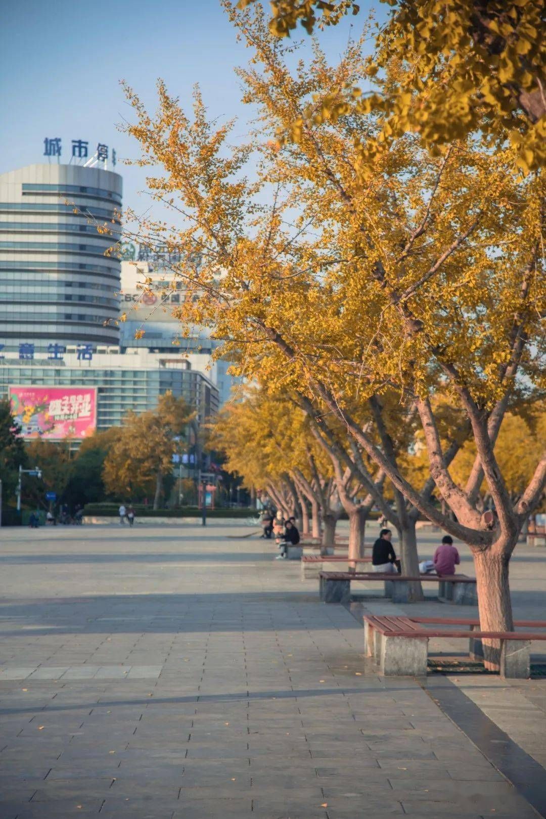 魏武广场旅行图片 1