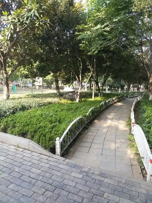 魏武广场旅行图片 2
