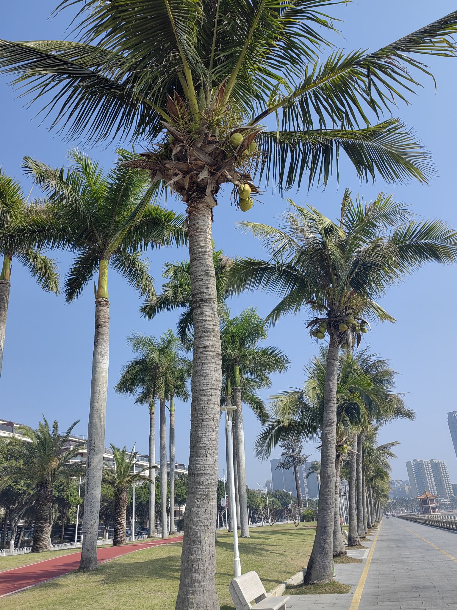 广东万里碧道起点旅行图片 3