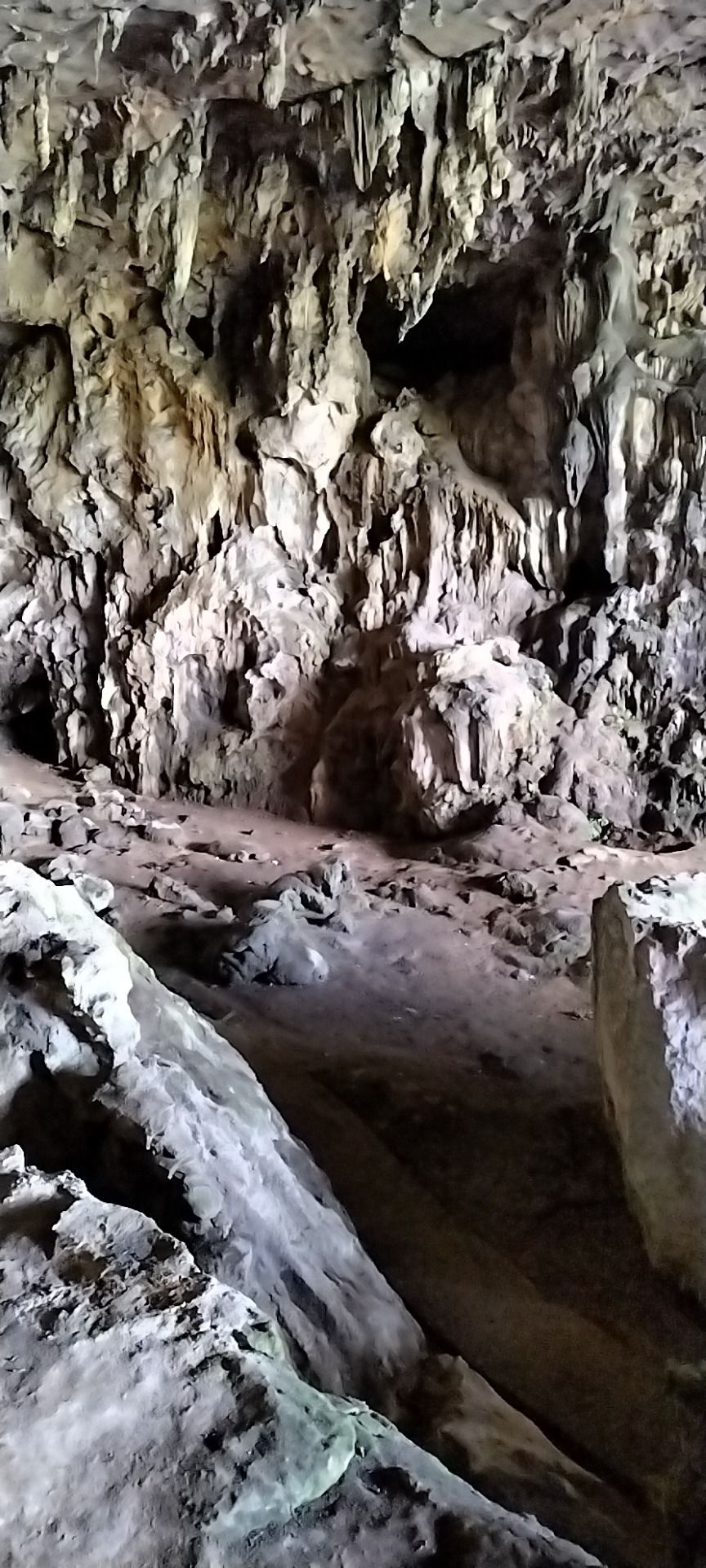 太平洞旅行图片 2